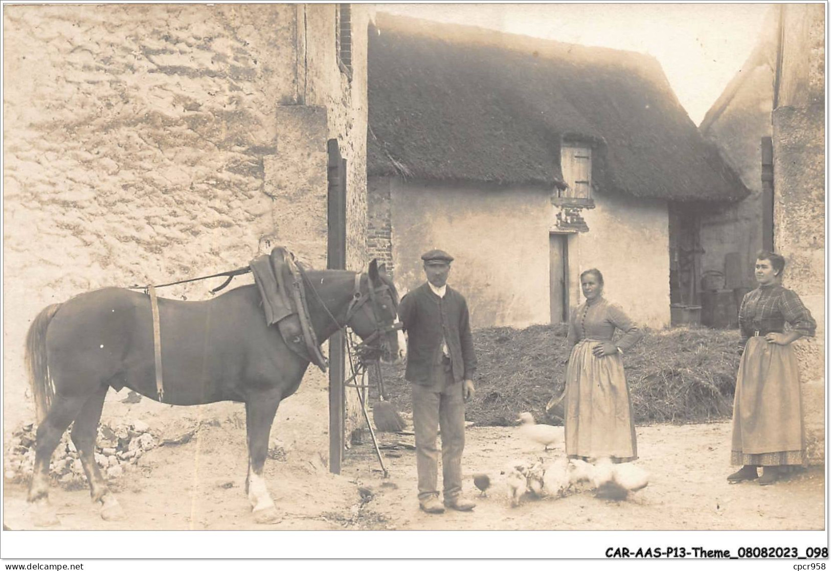 CAR-AASP13-0903 - AGRICULTURE - CARTE PHOTO - ELEVAGE.CHEVAL POULE FERME - Elevage