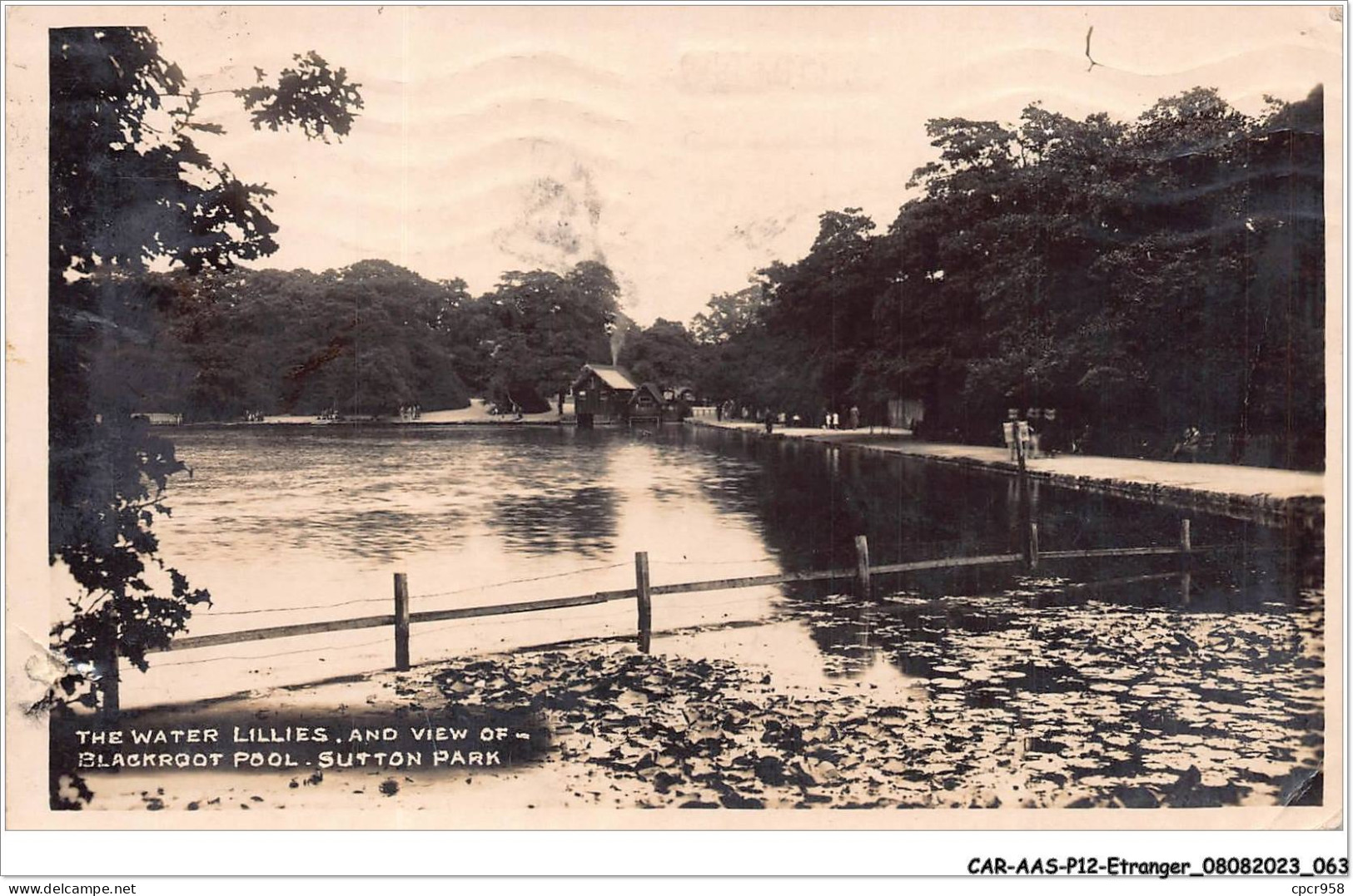 CAR-AASP12-0839 - ROYAUME-UNI - CARTE PHOTO - SUFFOLK - THE WATER LILLIES - VENDUE EN ETAT - Andere & Zonder Classificatie