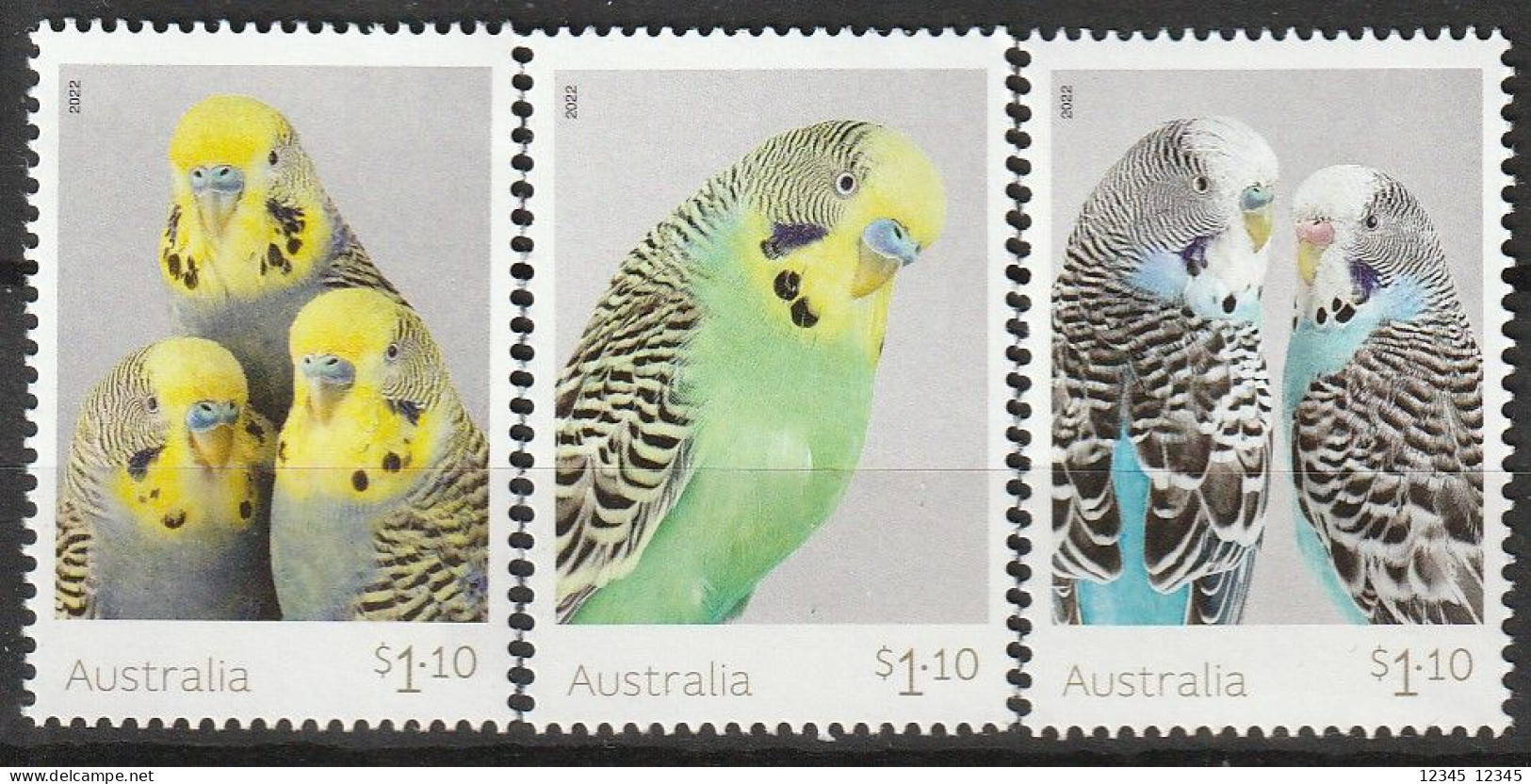 Australië 2022, Postfris MNH, Birds - Ungebraucht