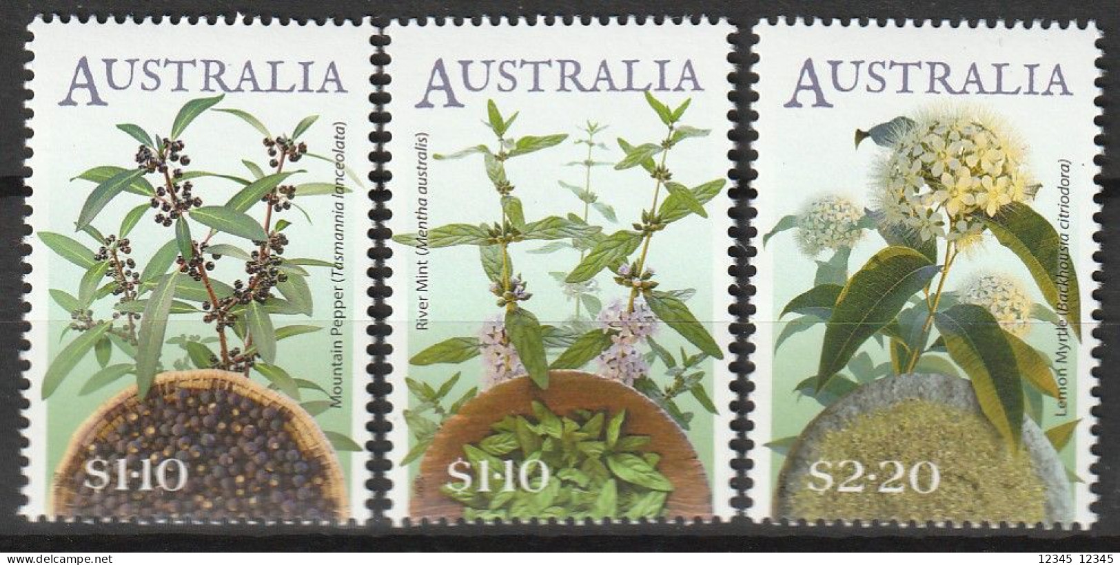 Australië 2022, Postfris MNH, Plants - Ungebraucht