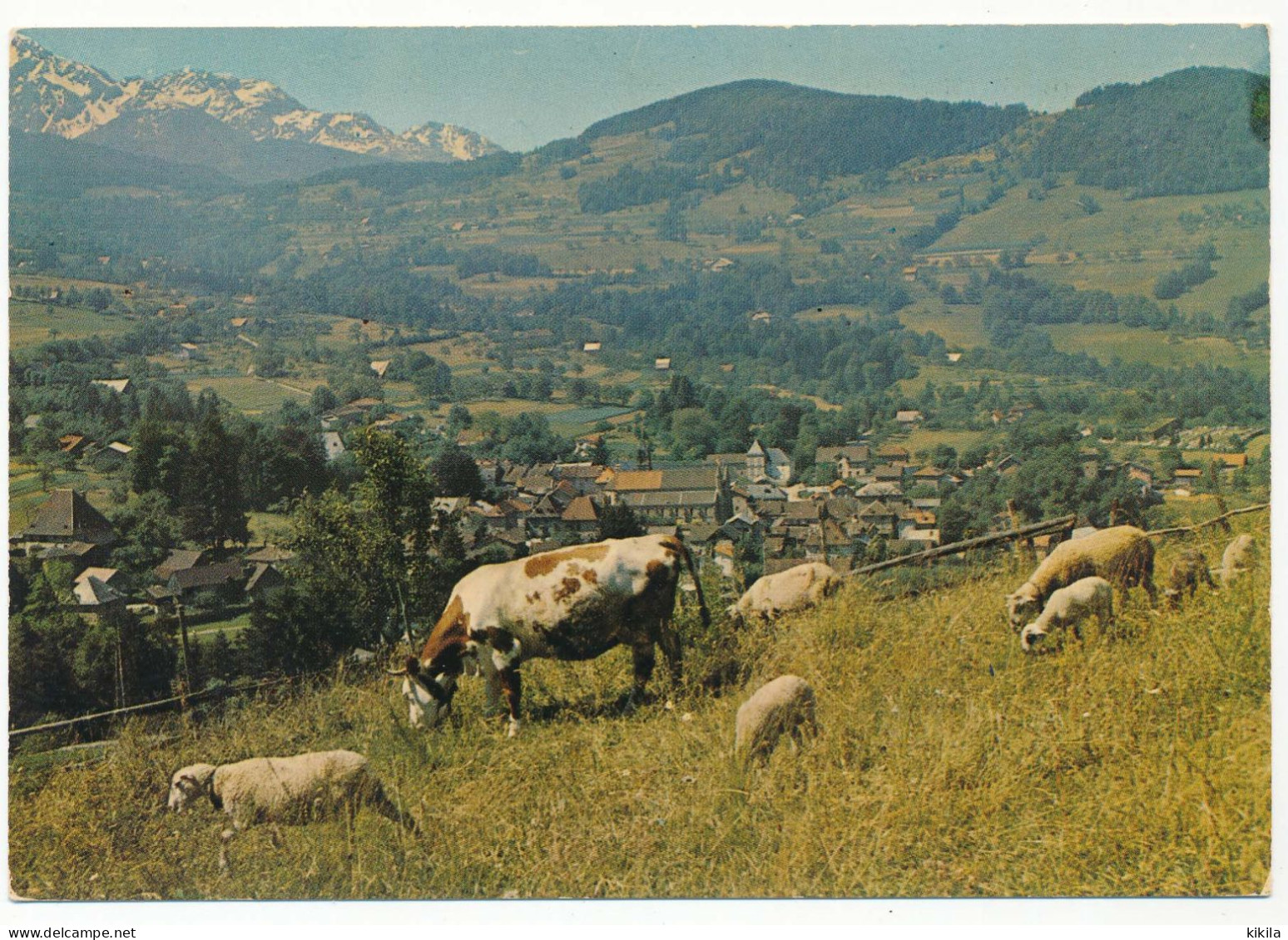 CPSM / CPM 10.5 X 15 Isère THEYS Altitude. 615 M Vue Générale Et Chaîne De Belledonne Vache Et Moutons - Theys