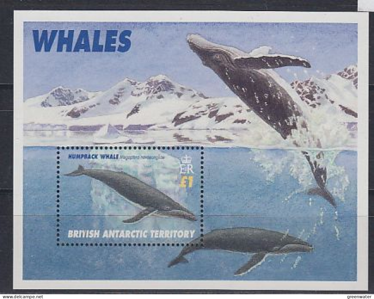 British Antarctic Territory (BAT)  1996 Whales M/s  ** Mnh (59483) - Ongebruikt