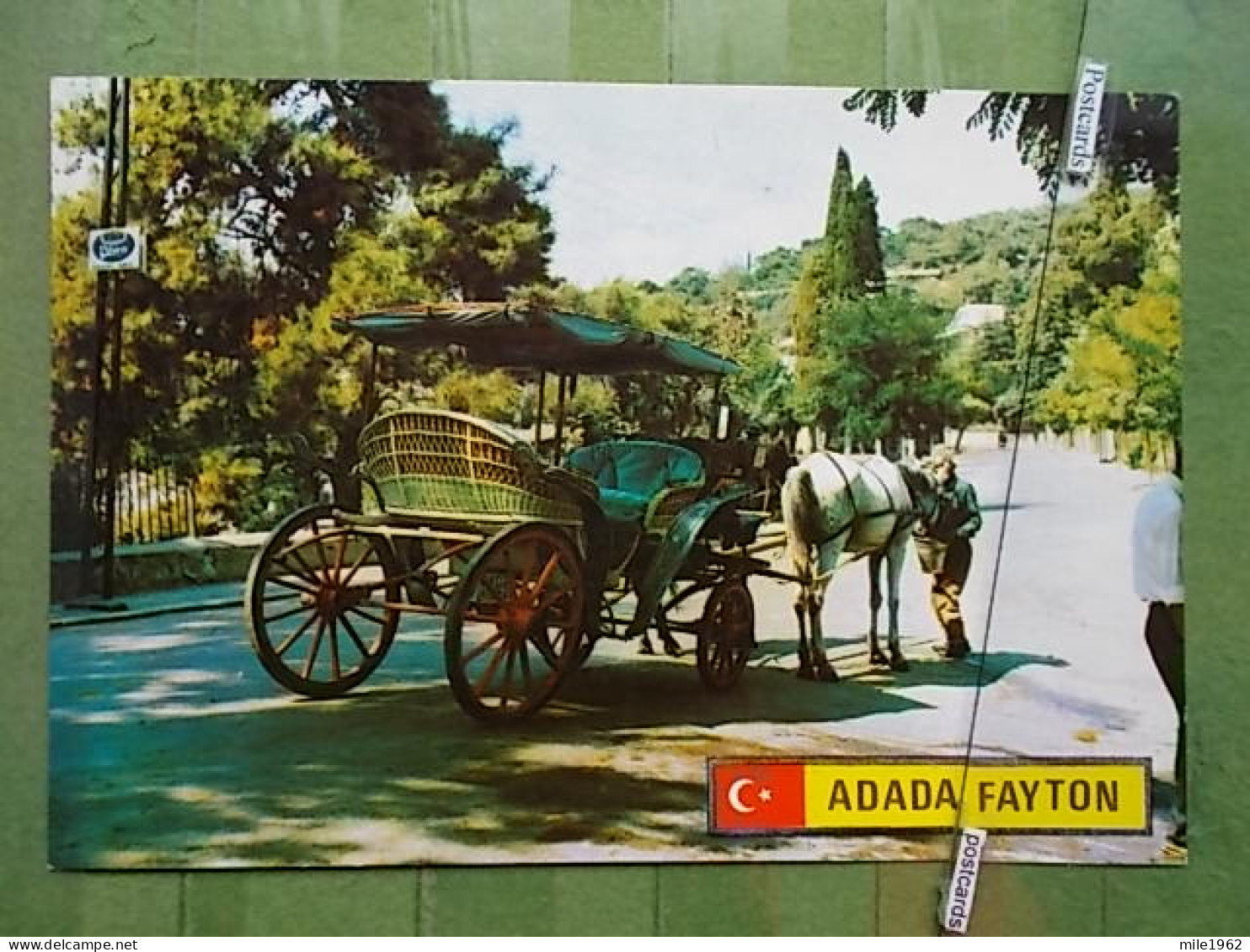 Kov 563-13 - ISTANBUL, TURKEY, ADADA FAYTON, HORSE CHAREAGE, CHEVAL - Turchia