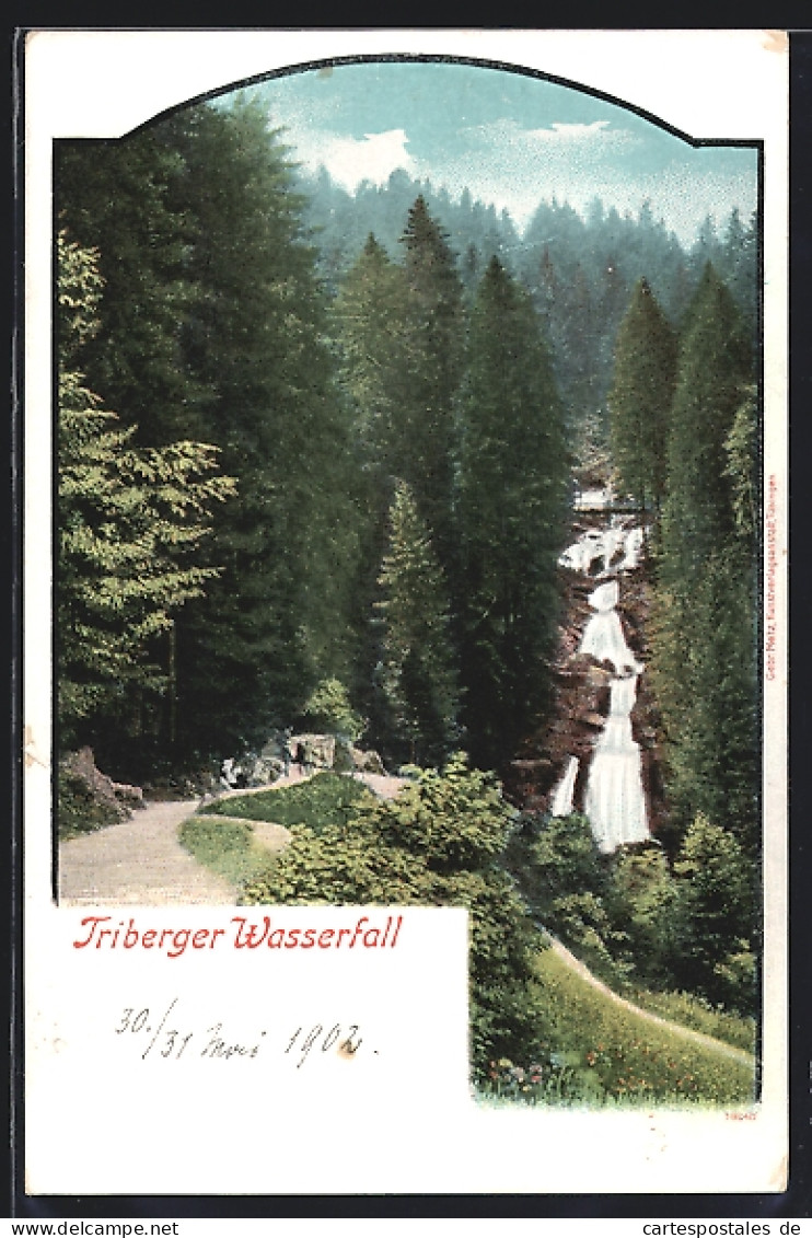 AK Triberg, Blick Auf Triberger Wasserfall  - Triberg