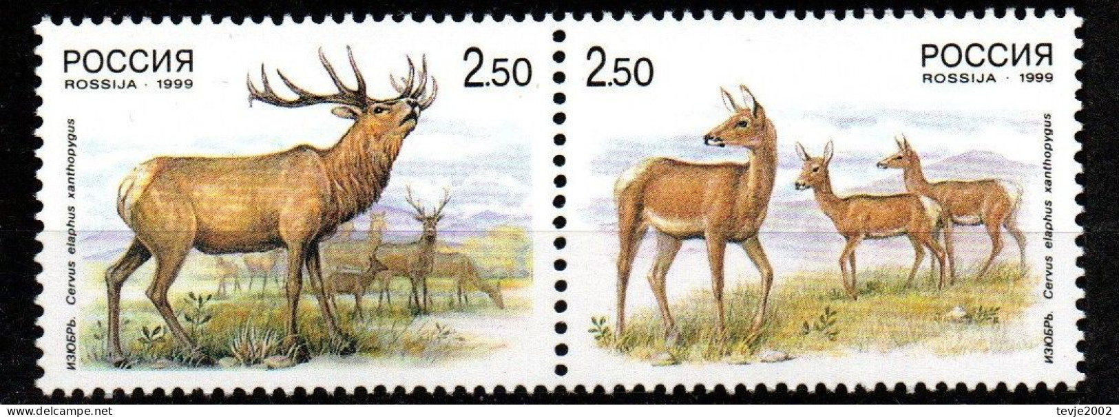 Russland 1999 - Mi.Nr. 723 - 724 - Postfrisch MNH - Tiere Animals Hirsch Reh Deer - Animalez De Caza