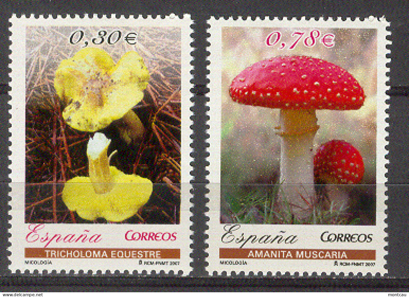 Spain 2007. Micologia Ed 4337-38 (**) - Funghi