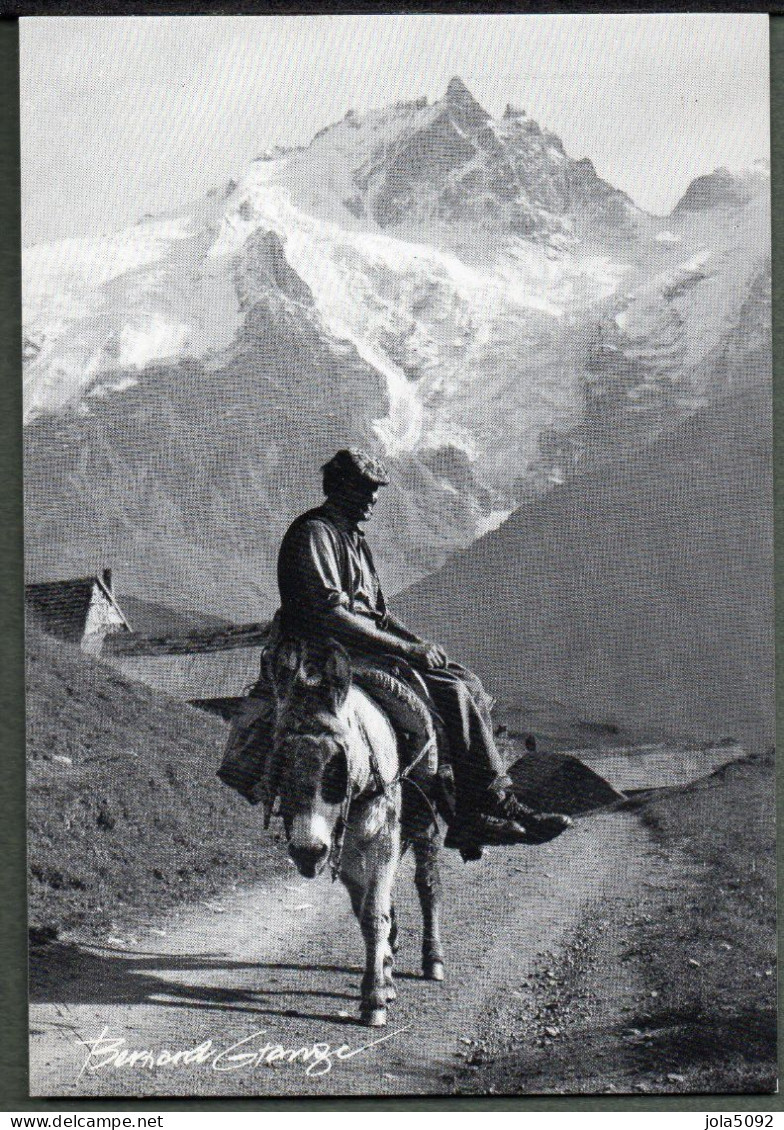 Homme Et Montagne - Photo Bernard Grange - Attelages