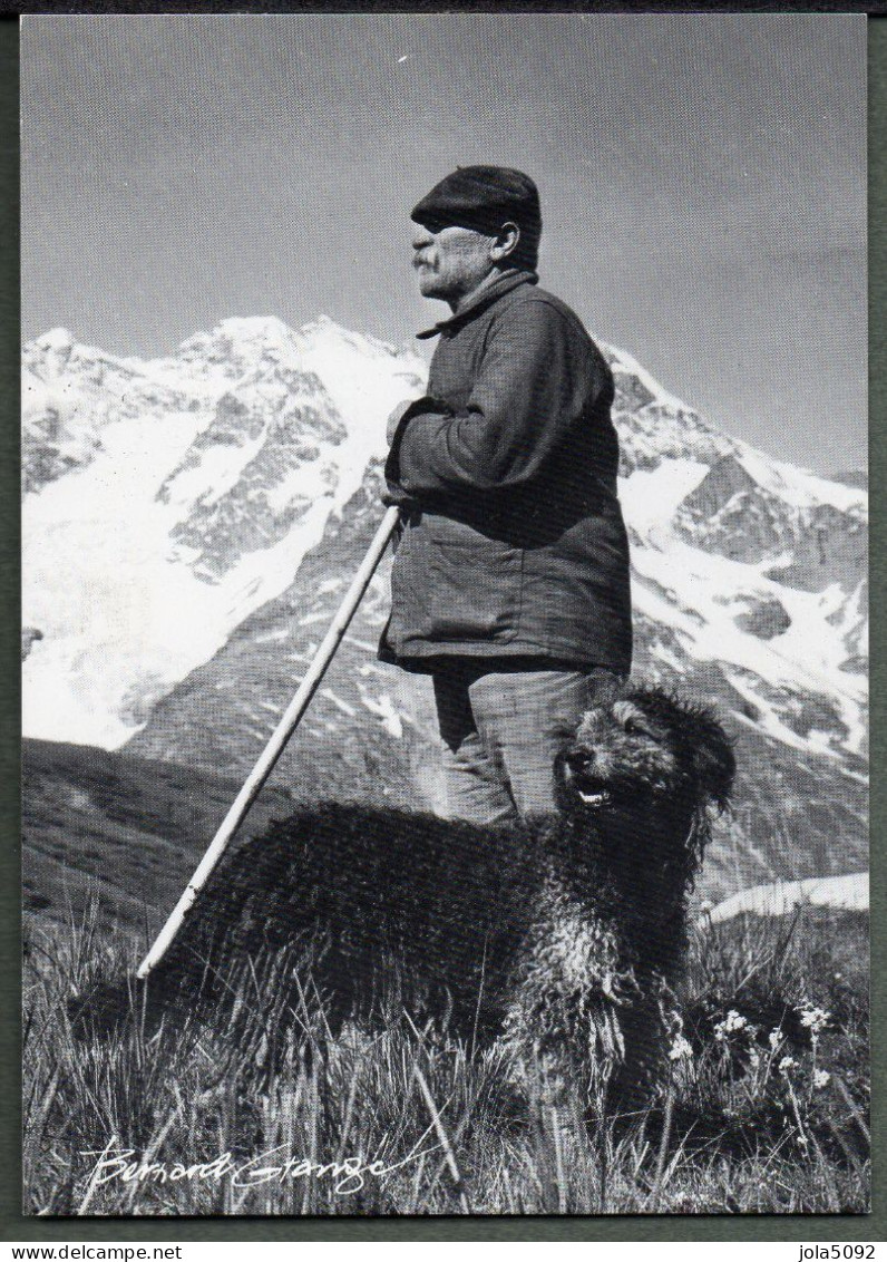 Le Berger Et Son Chien - Photo Bernard Grange - Elevage