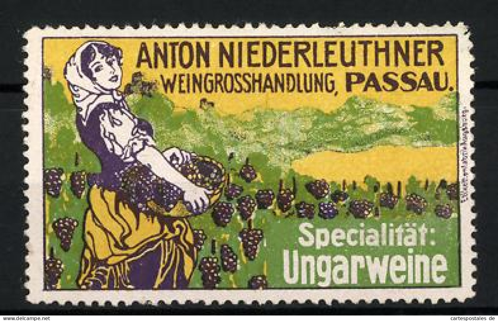 Reklamemarke Passau, Weingrosshandlung Anton Niederleuthner, Specialität: Ungarweine, Winzerin Bei Der Weinlese  - Vignetten (Erinnophilie)