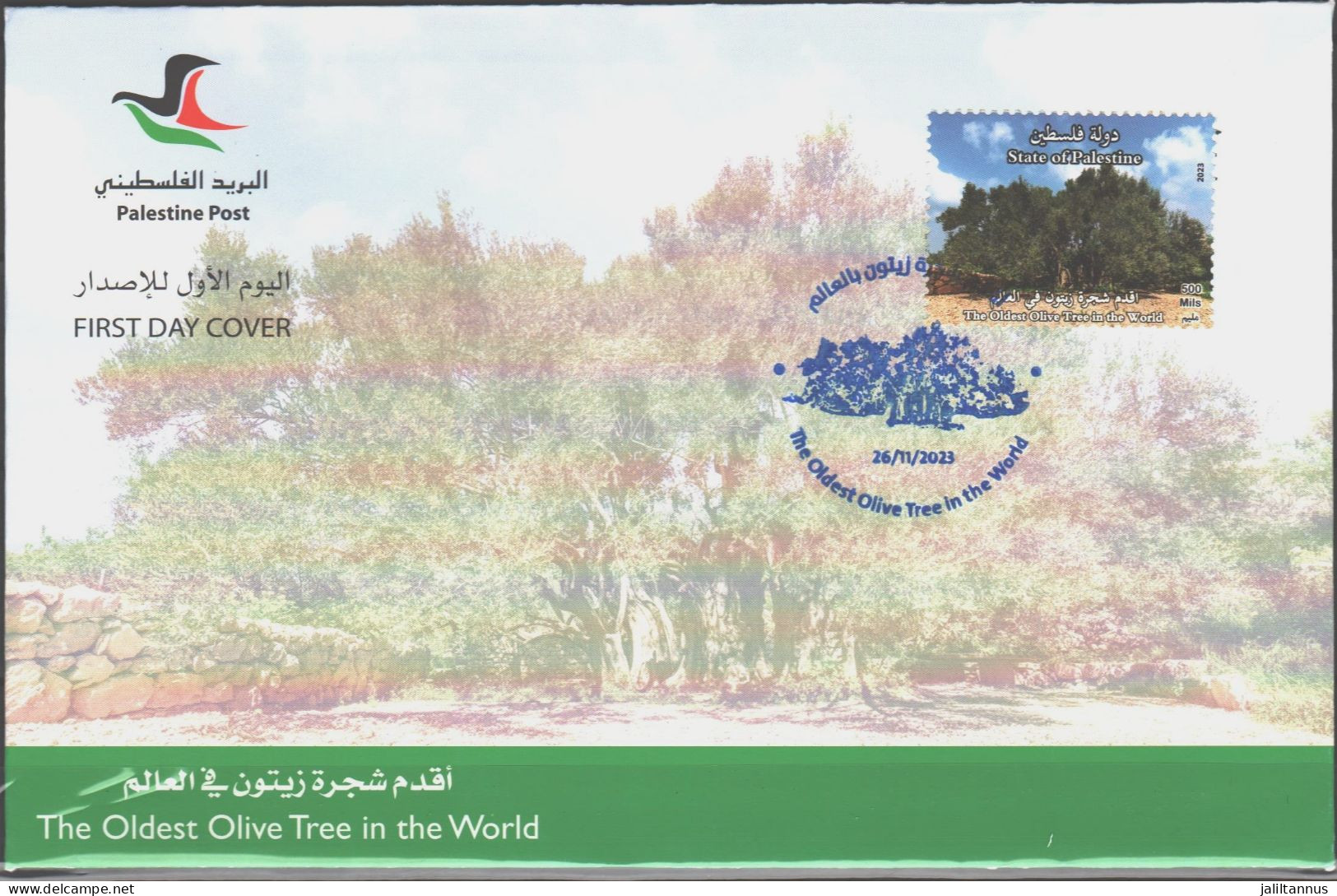 Palestine - 2023 - Oldest Olive Tree In The World FDC - Palestine
