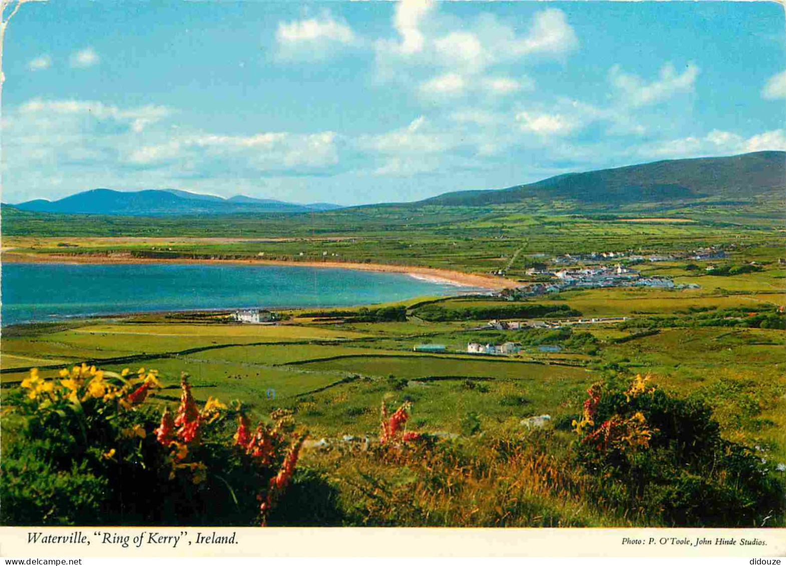 Irlande - Kerry - Ring Of Kerry - Waterville - CPM - Voir Scans Recto-Verso - Kerry