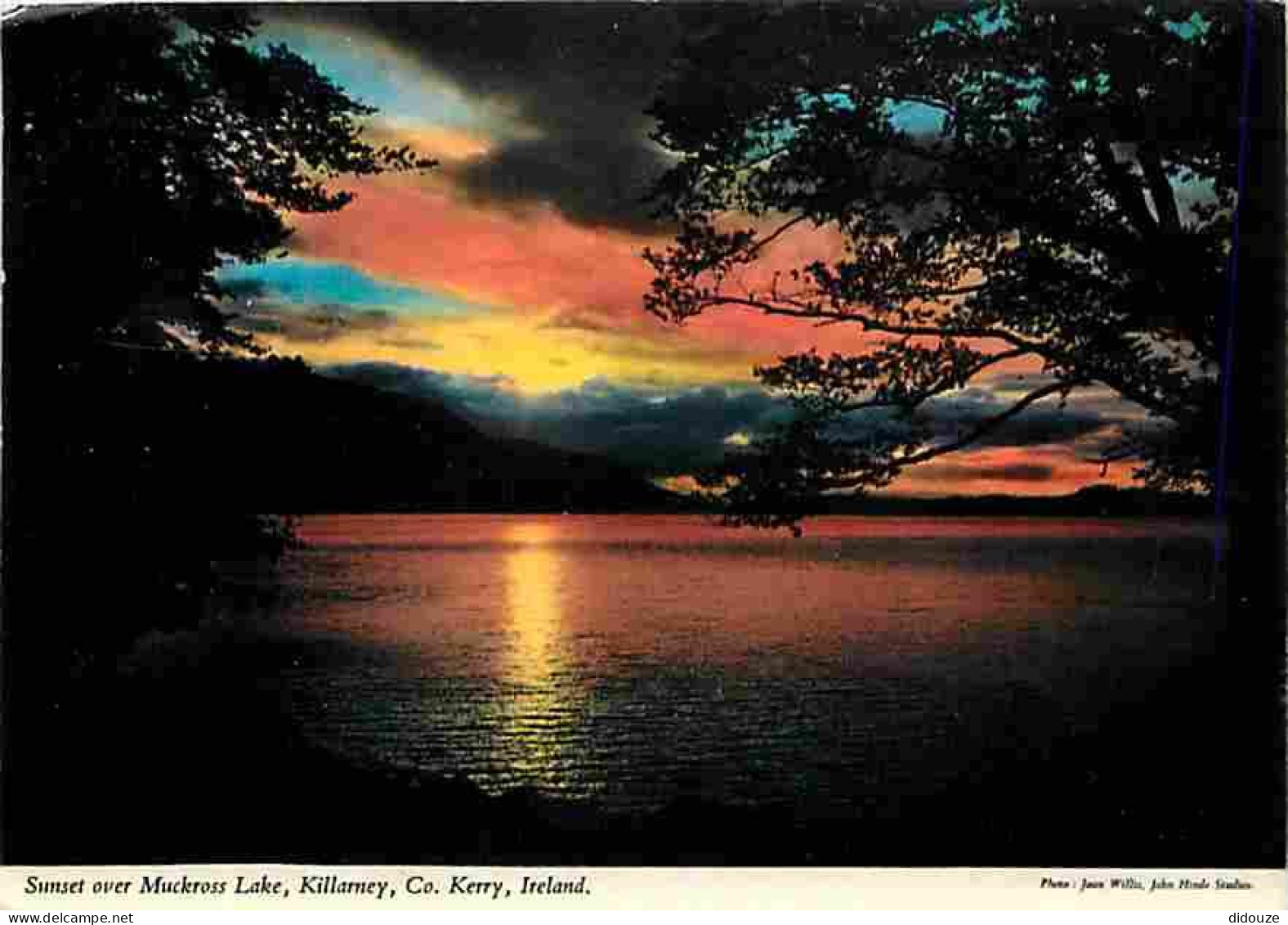 Irlande - Killarney - Sunset Over Muckross Lake - Kerry - Coucher De Soleil - CPM - Voir Scans Recto-Verso - Kerry