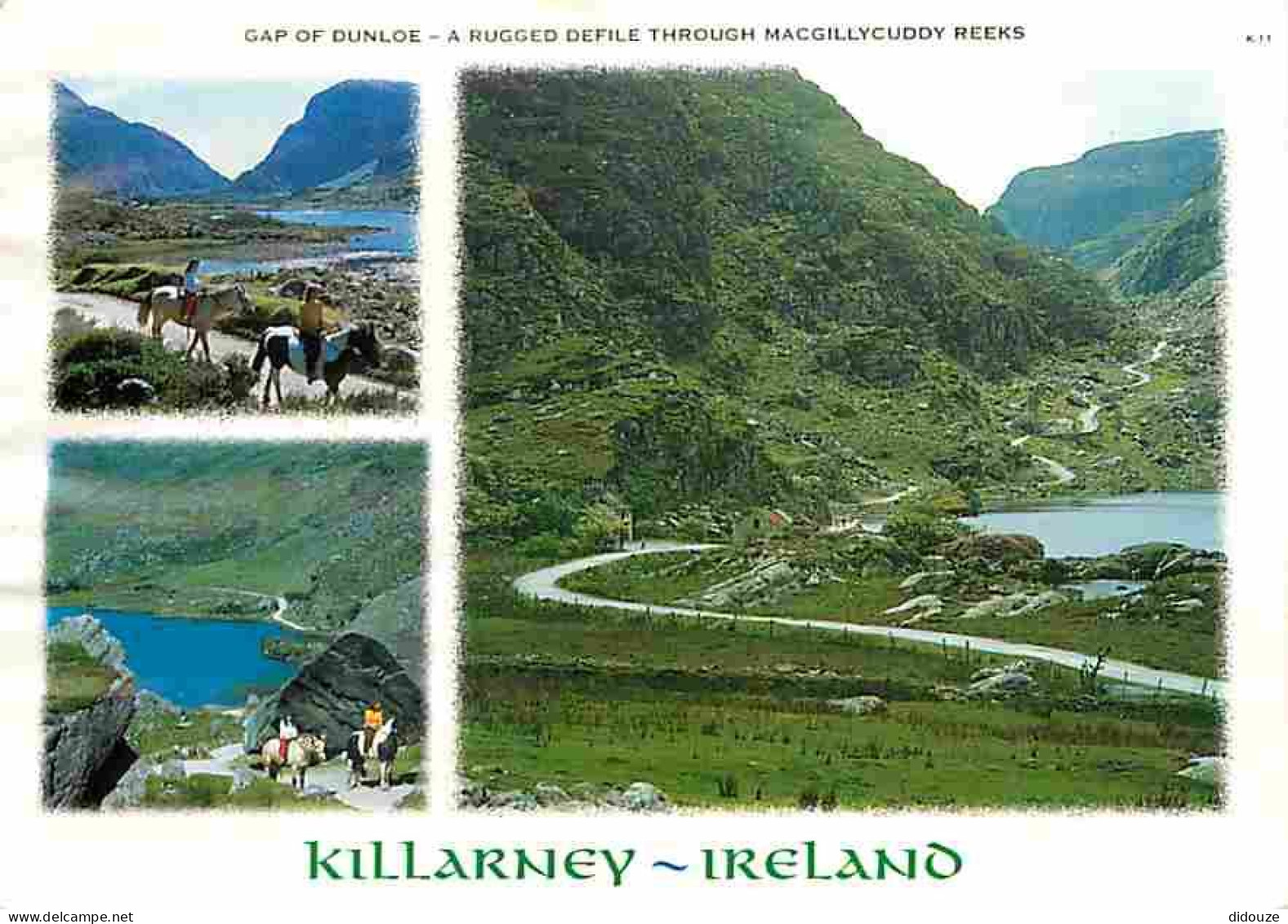 Irlande - Killarney - Multivues - Chevaux - CPM - Voir Scans Recto-Verso - Kerry
