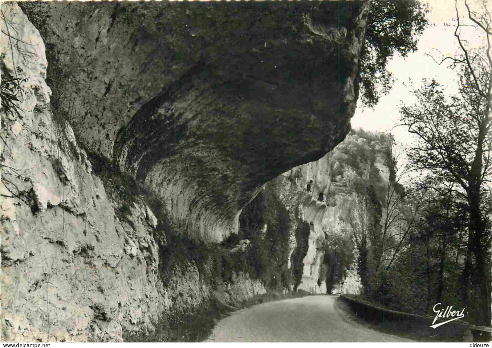 24 - Les Eyzies - Gorge D'Enfer - Rochers De La Route Qui Borde La Vézère - Au Fond Le Grand Roc - Mention Photographie  - Les Eyzies