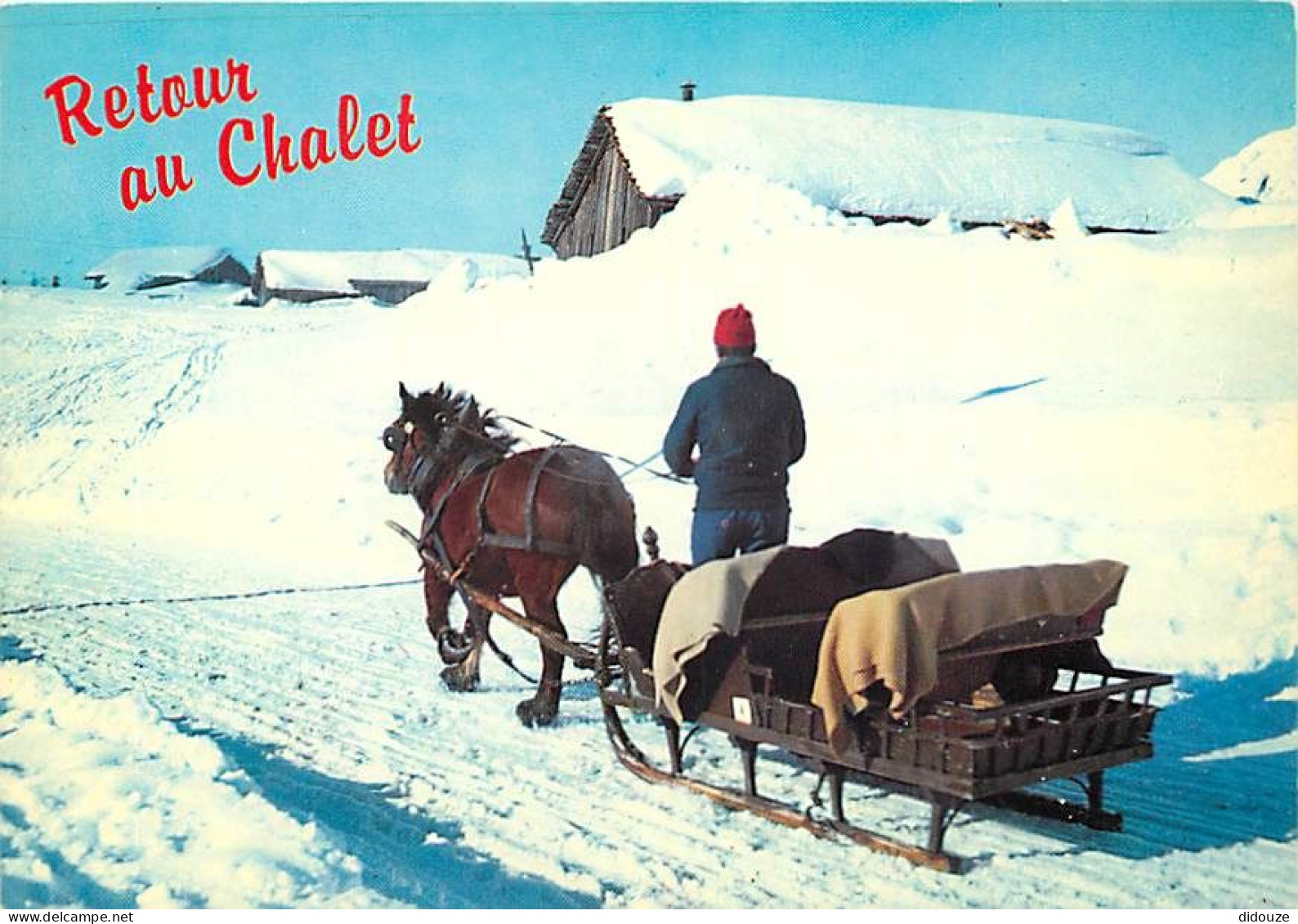 Animaux - Chevaux - Retour Au Chalet - Hiver - Neige - Traineau - Carte Neuve - CPM - Voir Scans Recto-Verso - Chevaux