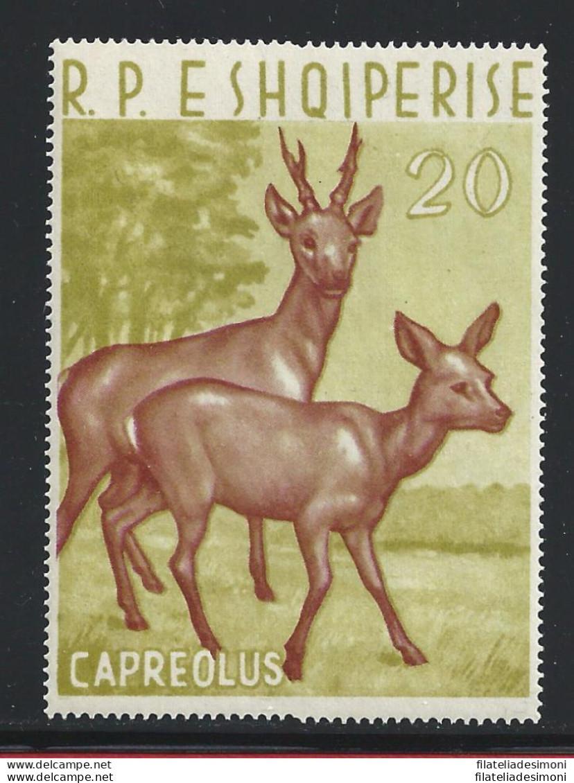 1963 ALBANIA - Squiperia , BF 15  Capriolo - Animali  MNH** - Albanien