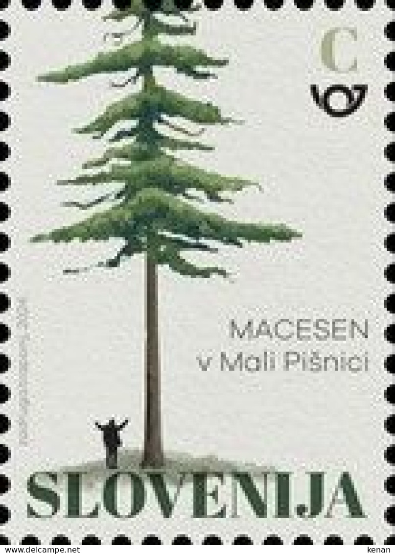 Slovenia, 2024, The Millenial Larch In The Valley Of The Mala Psnica (MNH) - Slovénie