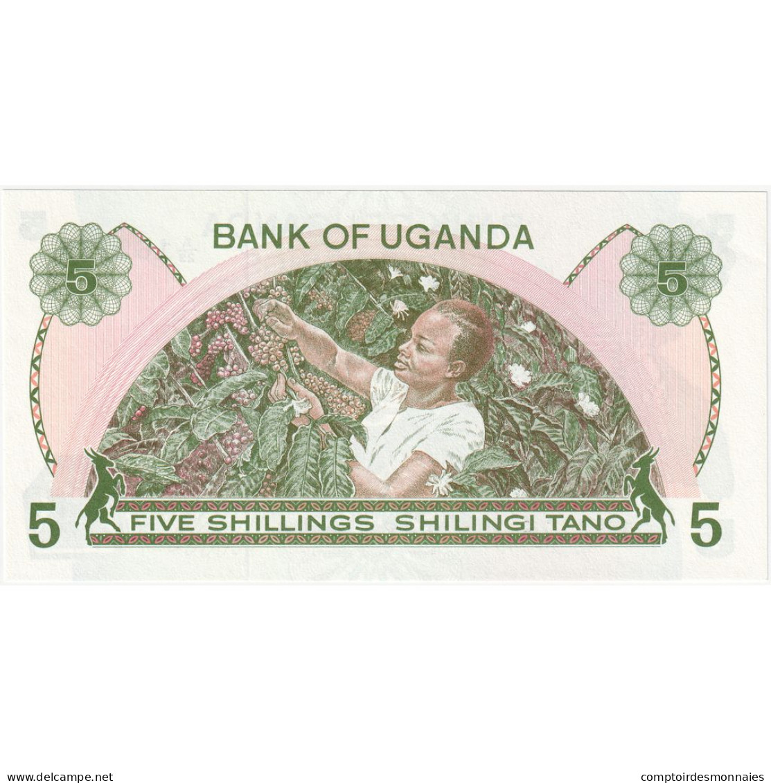 Ouganda, 5 Shillings, 1979, Undated (1979), KM:10, NEUF - Oeganda