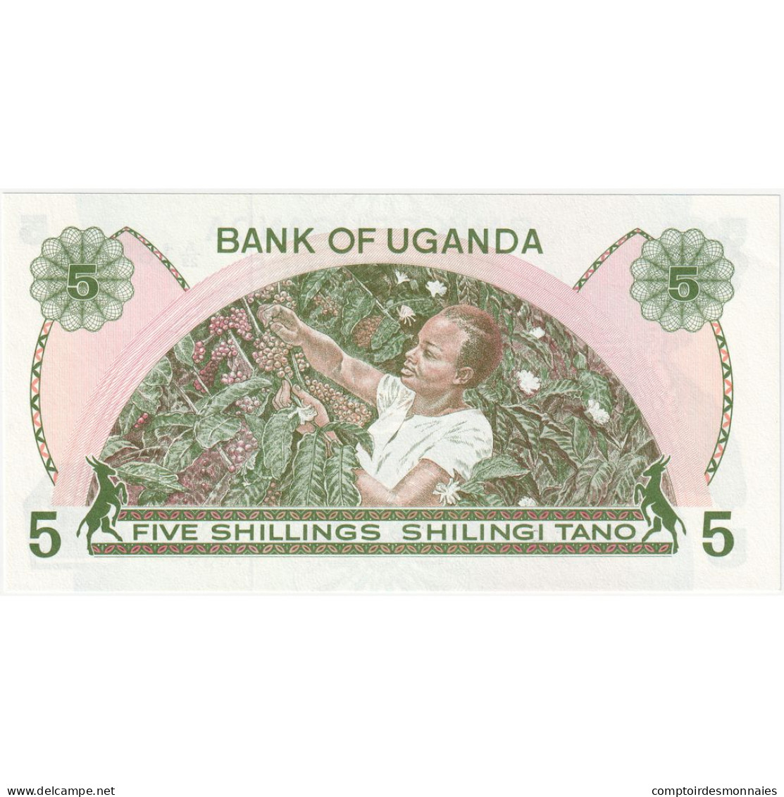 Ouganda, 5 Shillings, 1979, Undated (1979), KM:10, NEUF - Uganda