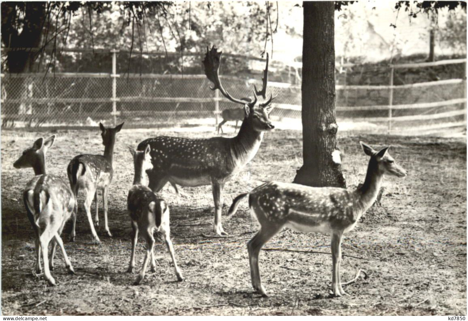 Langensalza - Tiergarten - Bad Langensalza