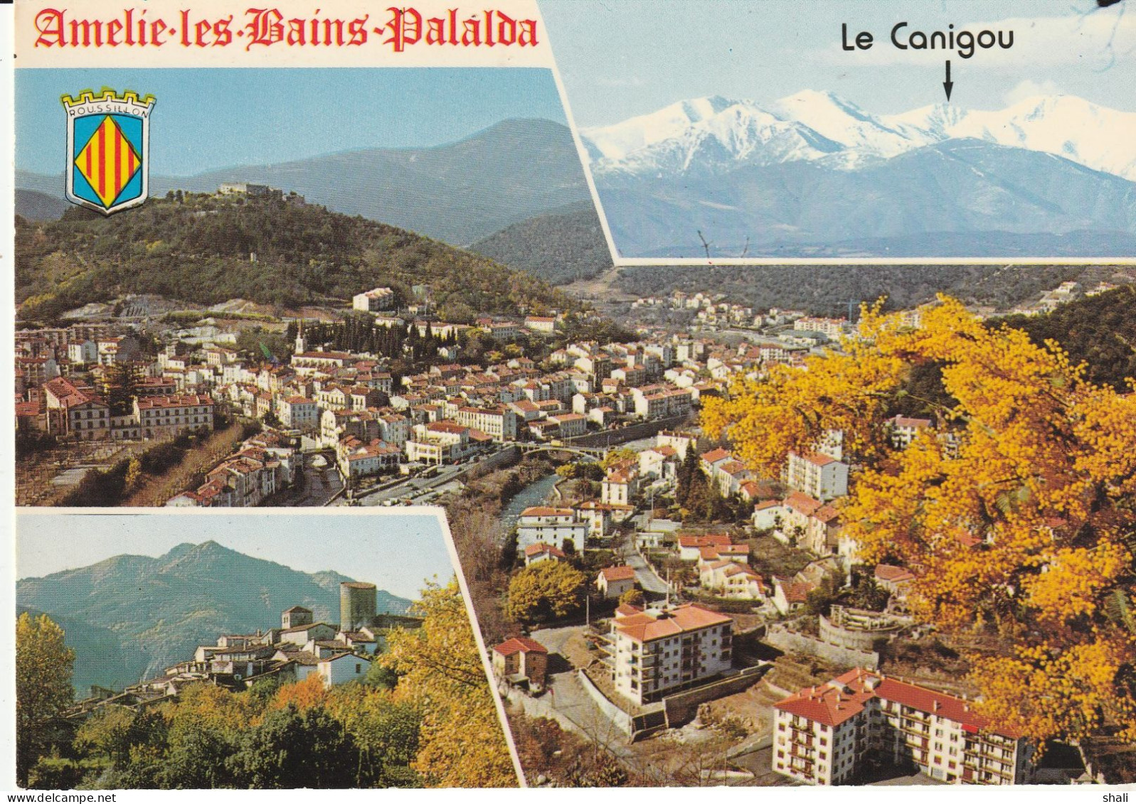 CPSM AMELIE LES BAINS PALALDA - Amélie-les-Bains-Palalda