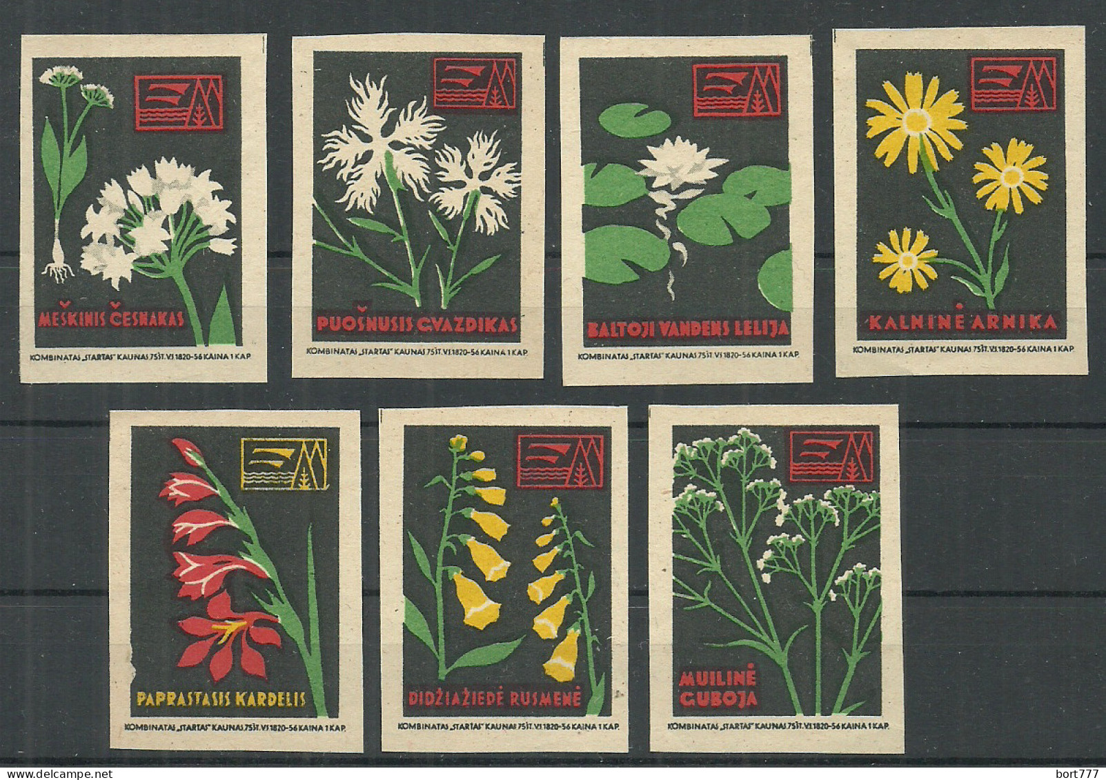 Lithuania UdSSR 7 Old Matchbox Labels Flowers - Matchbox Labels