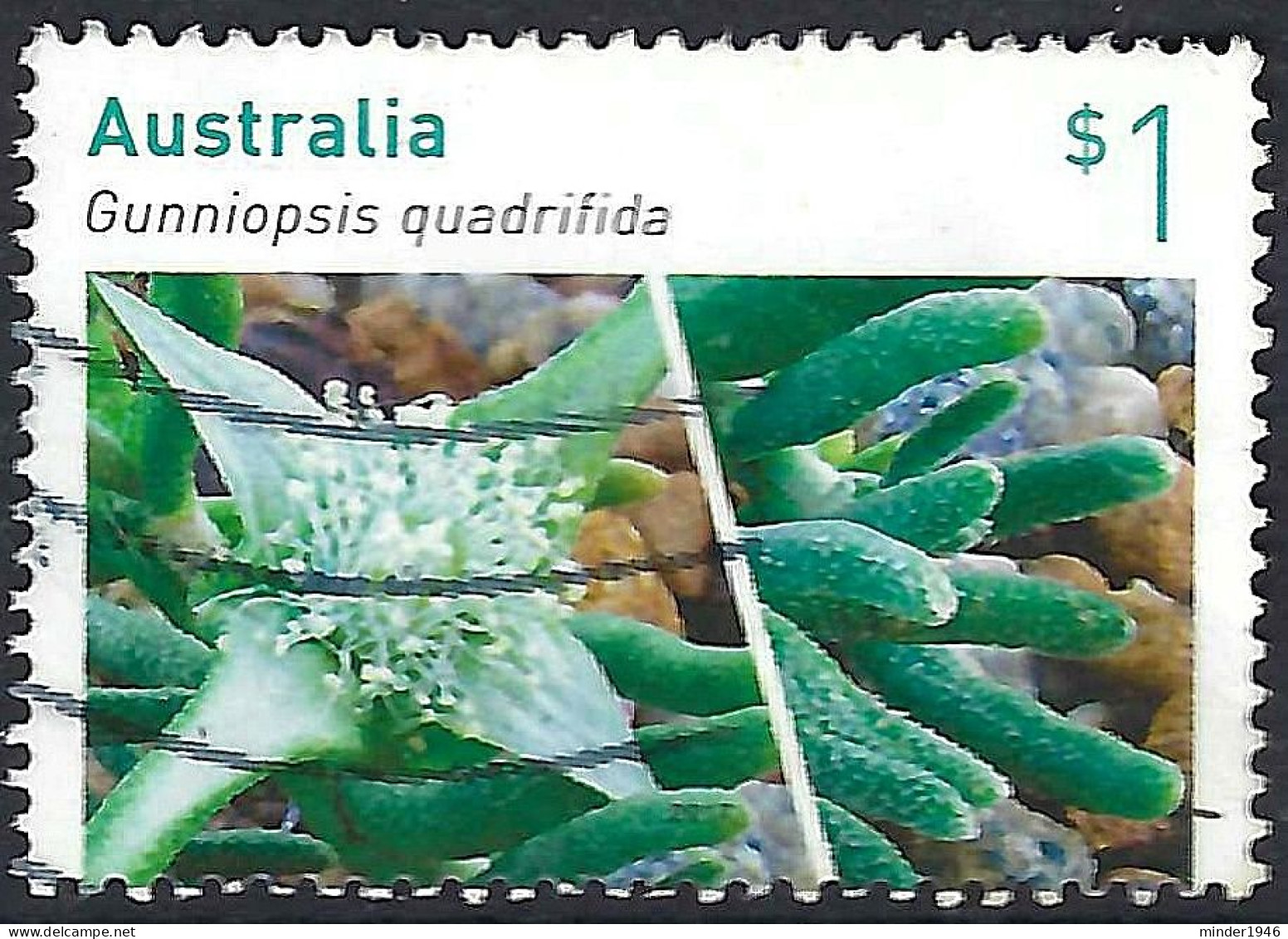 AUSTRALIA 2017 $1 Multicoloured, Australian Succulents-Gunniopsis Quadrifida SG4752 Used - Usados