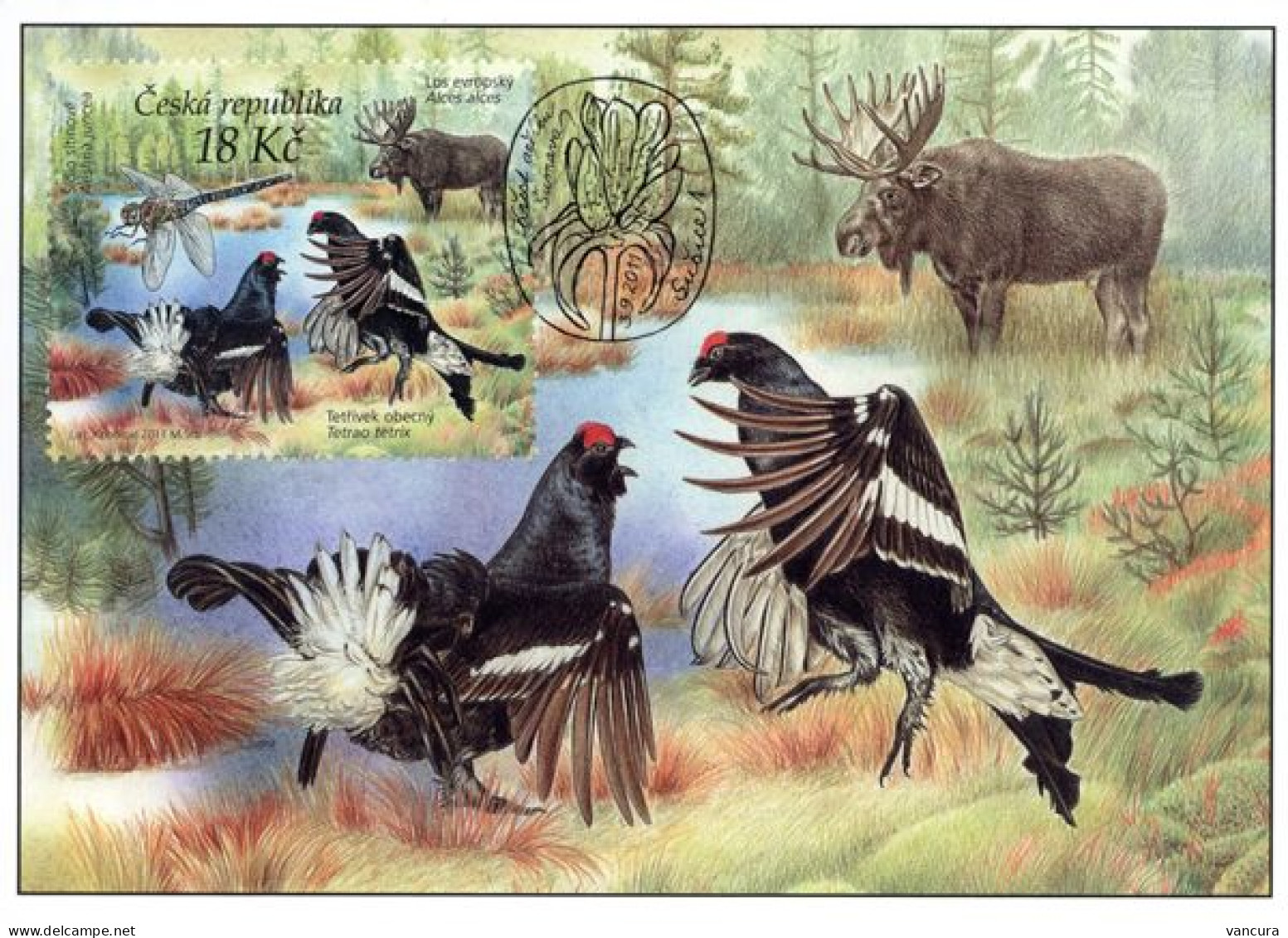 CM 693 Czech Republic Nature Protection Sumava Biosphere Reserve Grouse Elk Moose 2011 - Wild