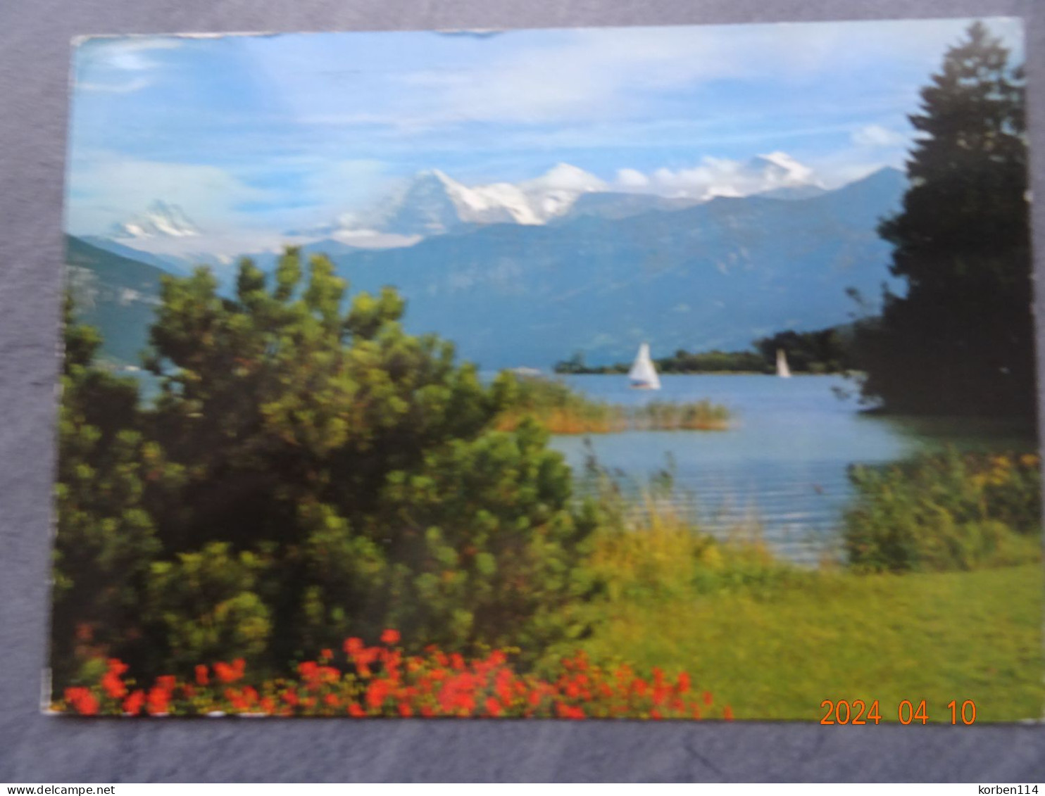 THUNERSEE MIT SCHRECKHORN - Spiez