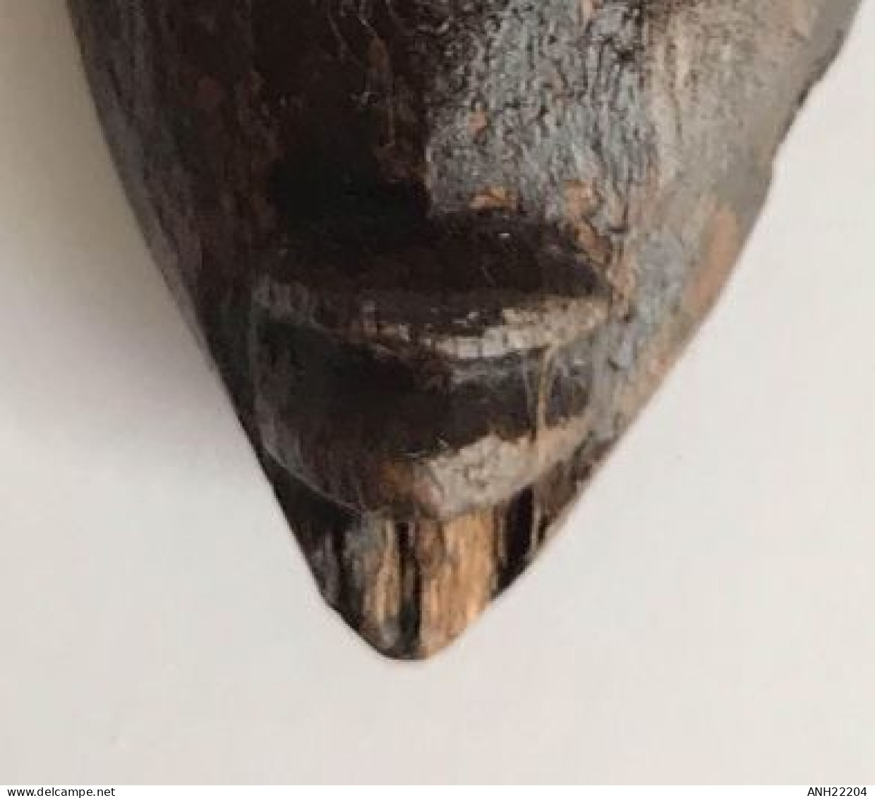 Ancien petit lance-pierres (H: 20,5 cm), Ethnie Baoulé, Côte d’Ivoire, 2ème moitié 20ème siècle