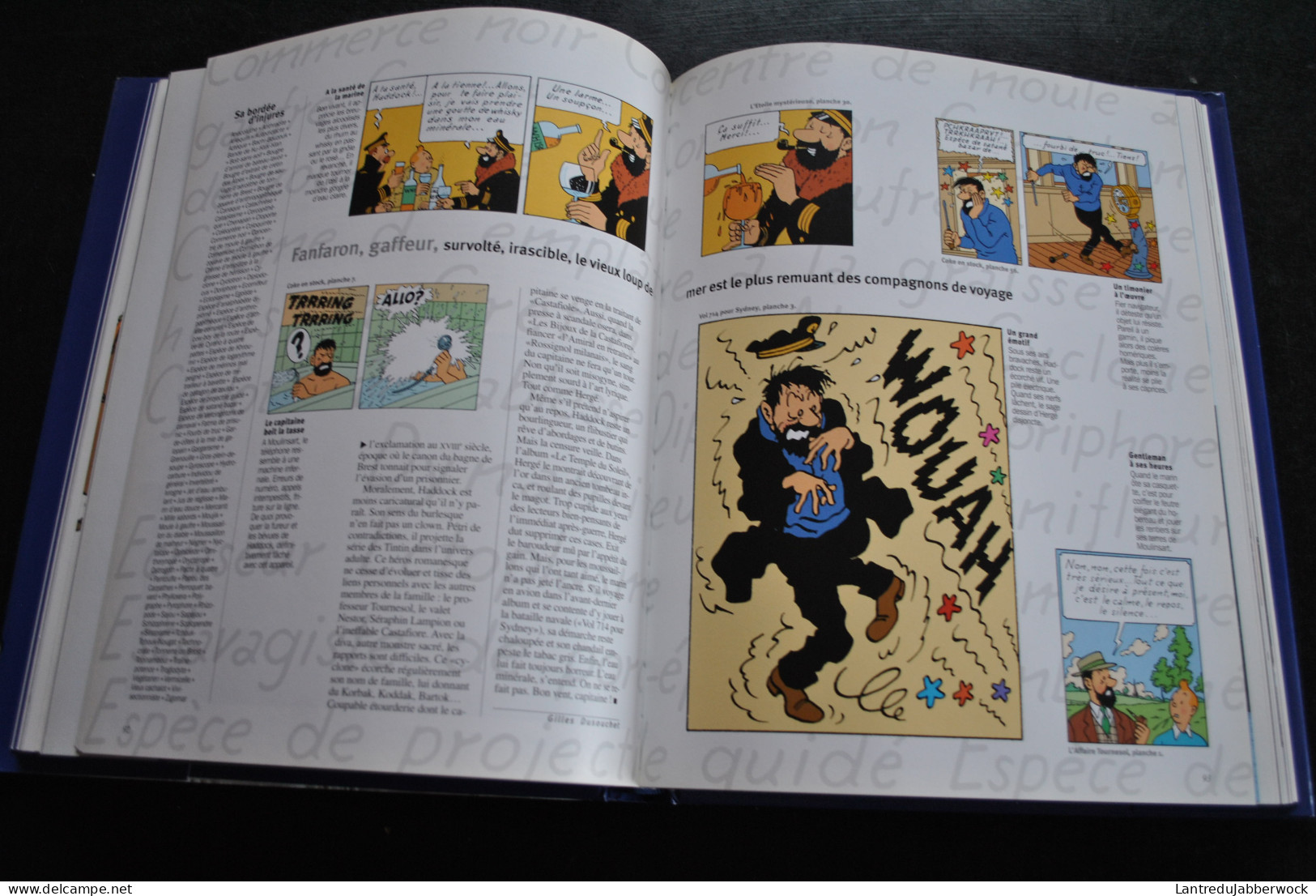 L'ALBUM GEO Tintin Grand Voyageur du Siècle Hergé Milou Tournesol Haddock Frise poster dépliant jaquette 