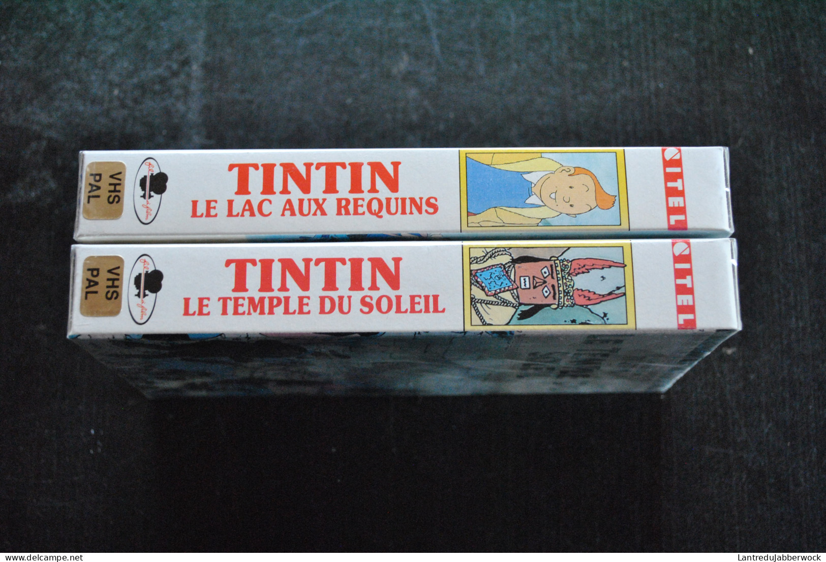 2 Cassettes VHS Tintin Et Le Lac Au Requin Le Temple Du Soleil Sous Blister Editions CITEL Hergé Haddock Milou Tournesol - Video En DVD