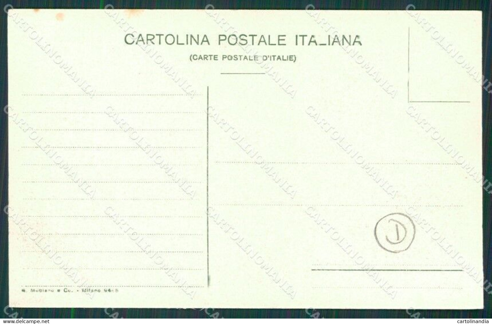 Vibo Valentia Piscopio Terremoto Delle Calabrie Cartolina QZ4218 - Vibo Valentia