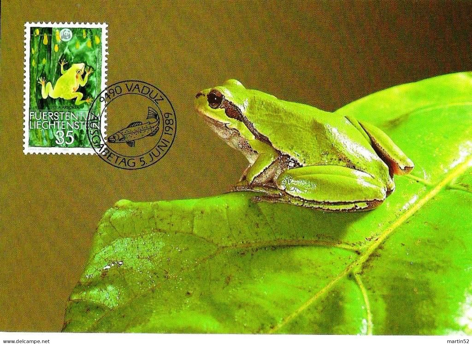 Liechtenstein 1989: Laubfrosch Rainette Tree-Frog (Hyla Arborea) Zu 909 Mi 968 Yv 909 Bloc & Carte Maximum Serie N° 89 B - Ranas