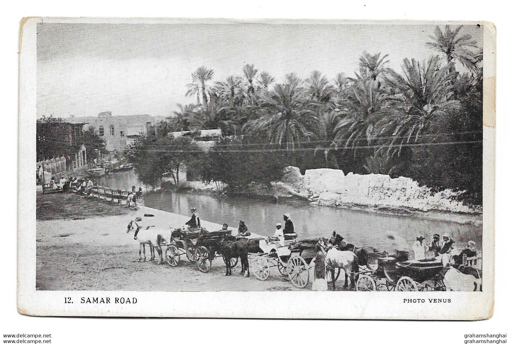 Postcard Philippines Samar Road Carriages Beside River Published Sanbride Press By Hood Of Middlesborough Unposted - Philippinen