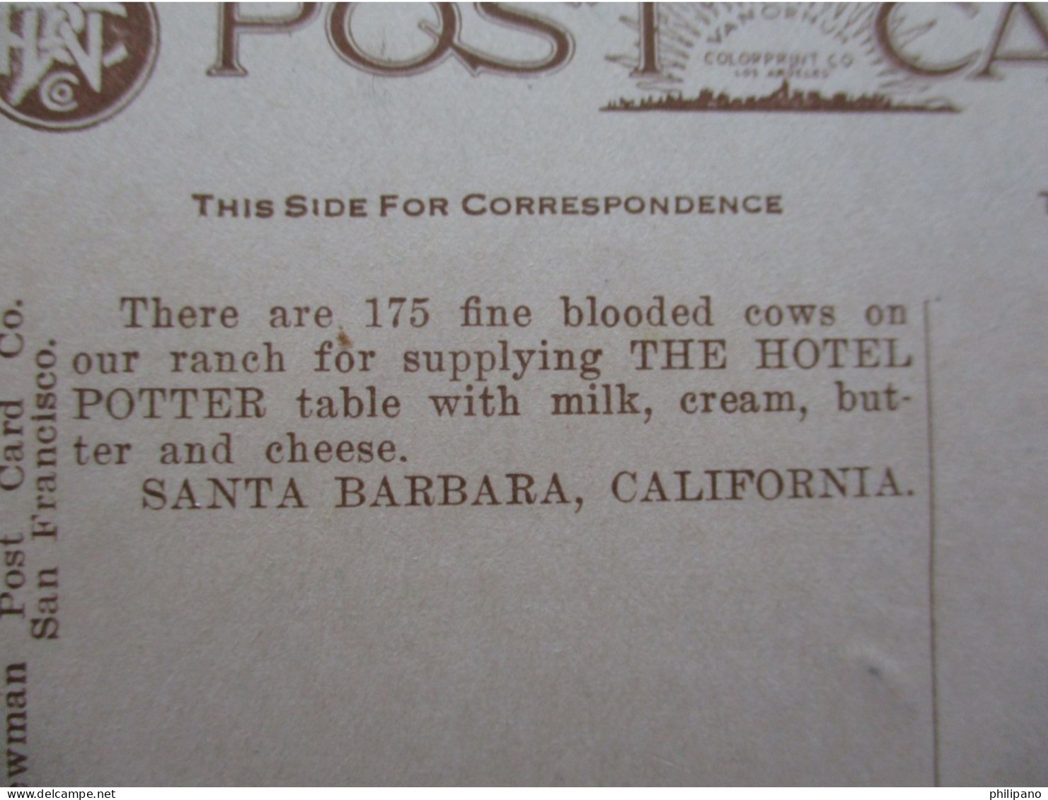 175 Cows To Supply Hotel Potter.  Santa Barbara  California > Santa Barbara .     Ref 6378 - Santa Barbara