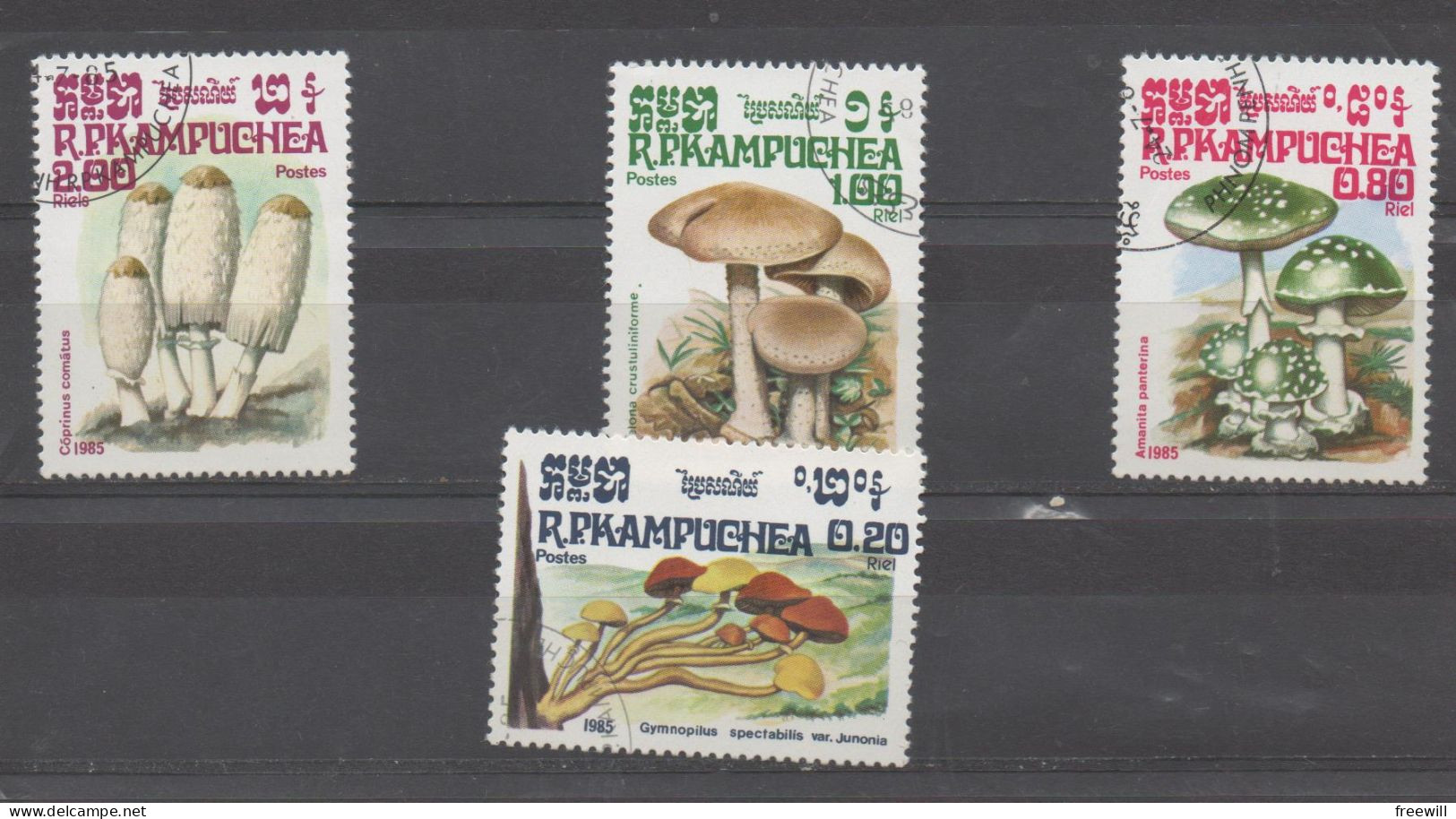 Kampuchea : Champignons , Mushrooms - Kampuchea