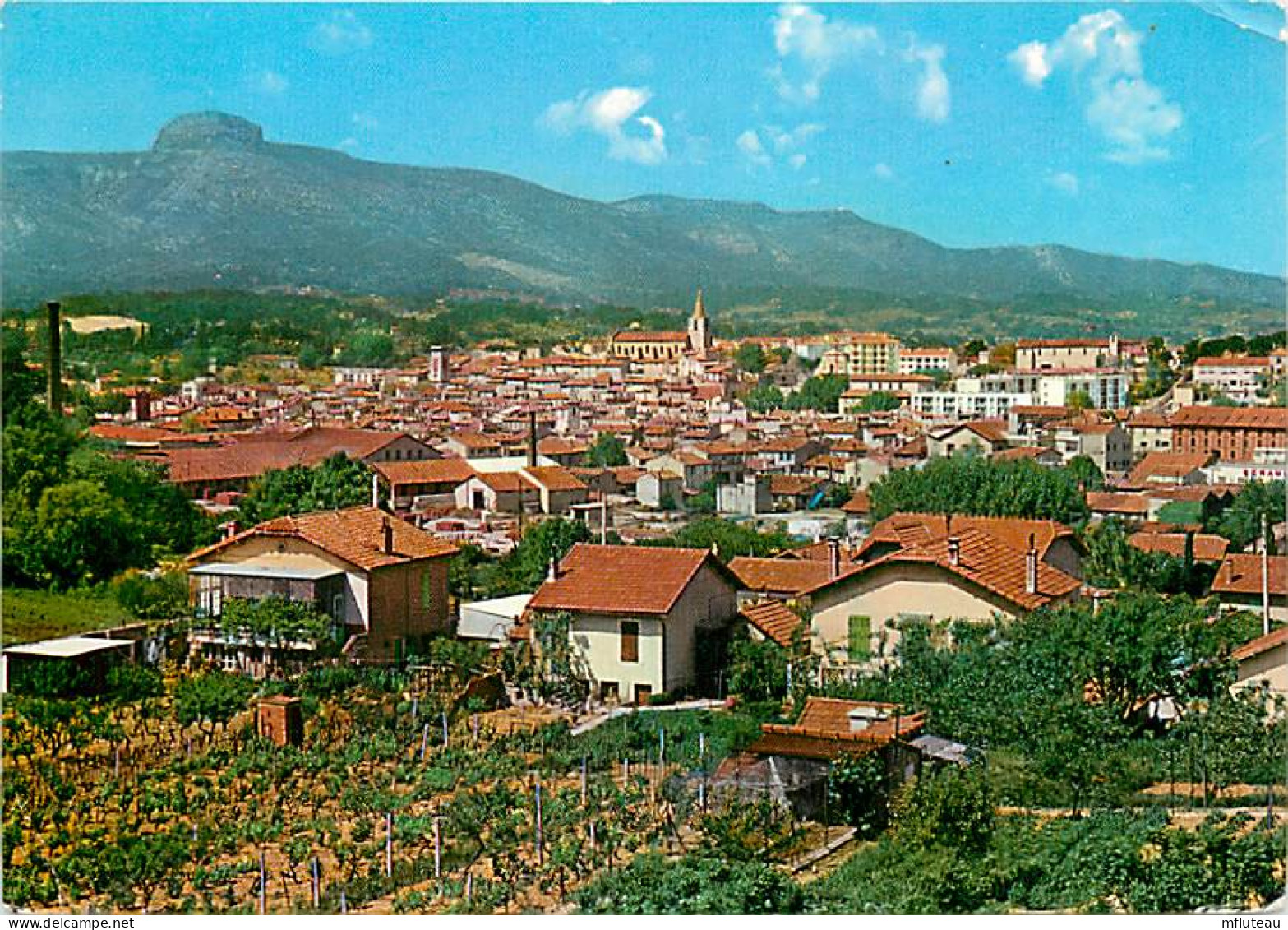 13* AUBAGNE  (CPSM10x15cm)                                           MA62-160 - Aubagne