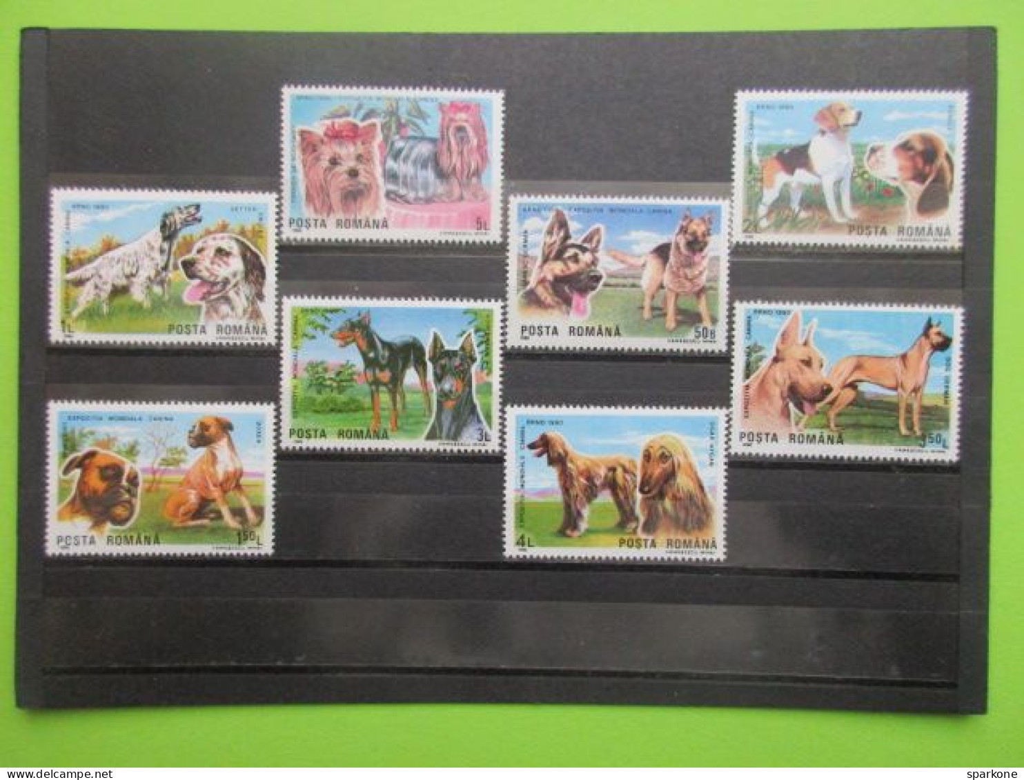 Posta Romana - Série De 8 Timbres Neufs Sur Les Chiens - 1990 - Unused Stamps