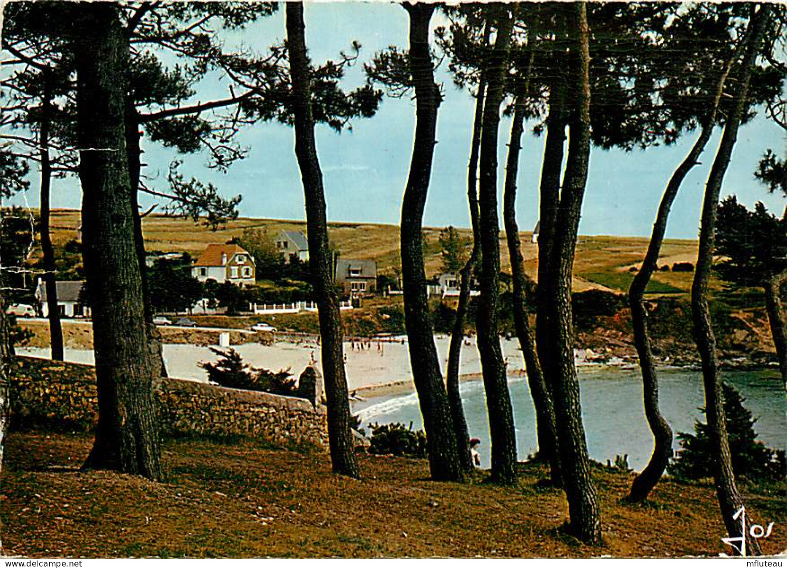 29* MOELAN SUR MER - KERFANY  (CPSM 10x15cm)                      MA63-0750 - Moëlan-sur-Mer