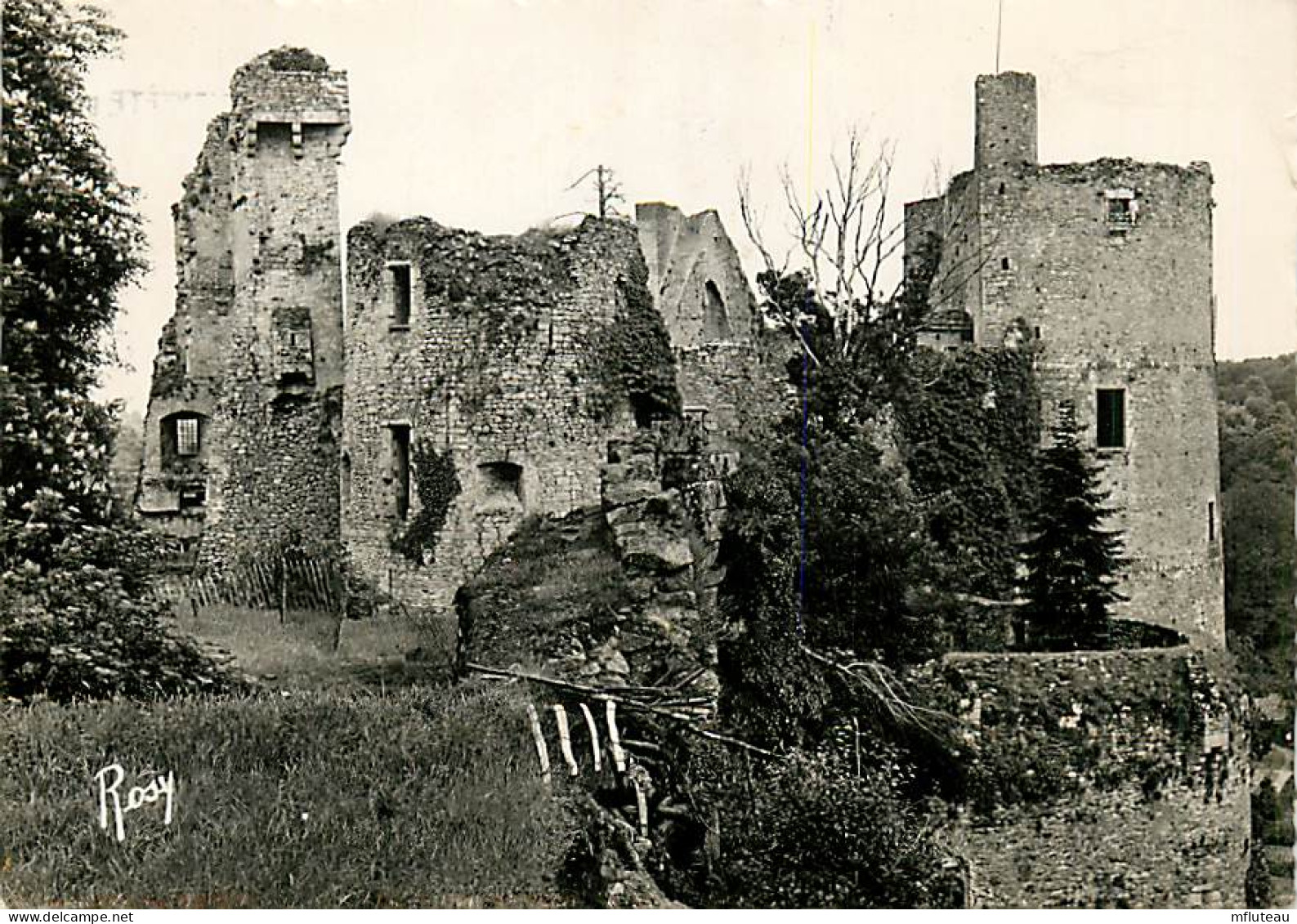 44* CLISSON   Tour - Donjon  (CPSM 10x15cm)         MA64-0466 - Clisson