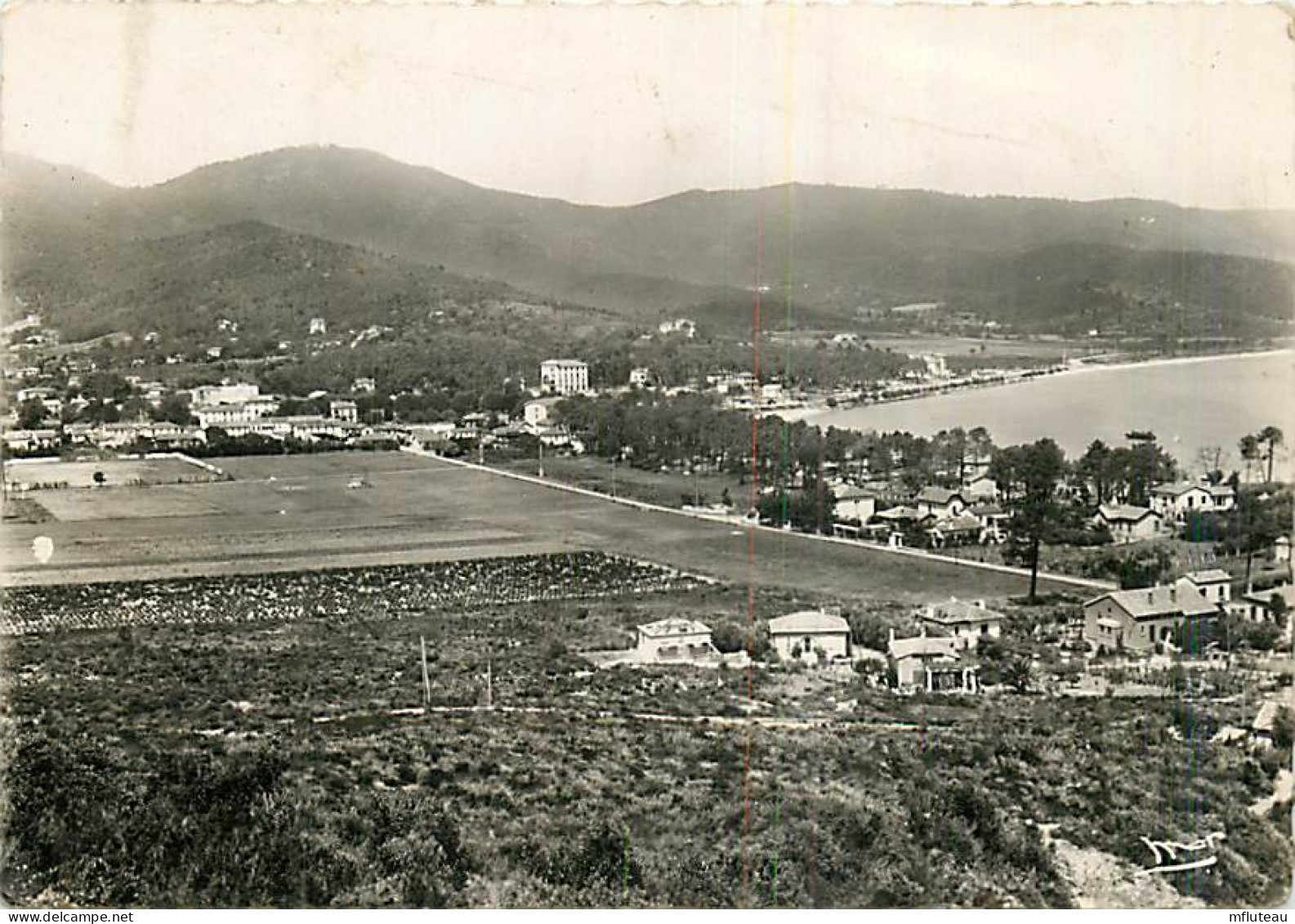 83* CAVALAIRE SUR MER  CPSM (10x15cm)             MA66-0477 - Cavalaire-sur-Mer