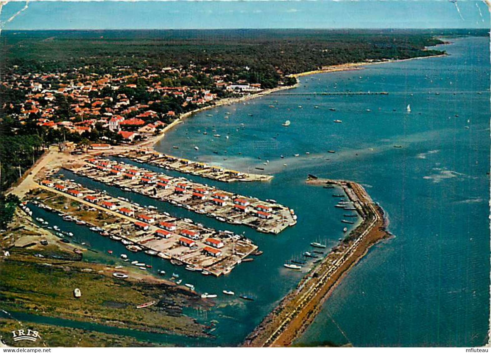 33* ANDERNOS LES BAINS  Port   CPSM (10x15cm)                 MA69-0838 - Andernos-les-Bains