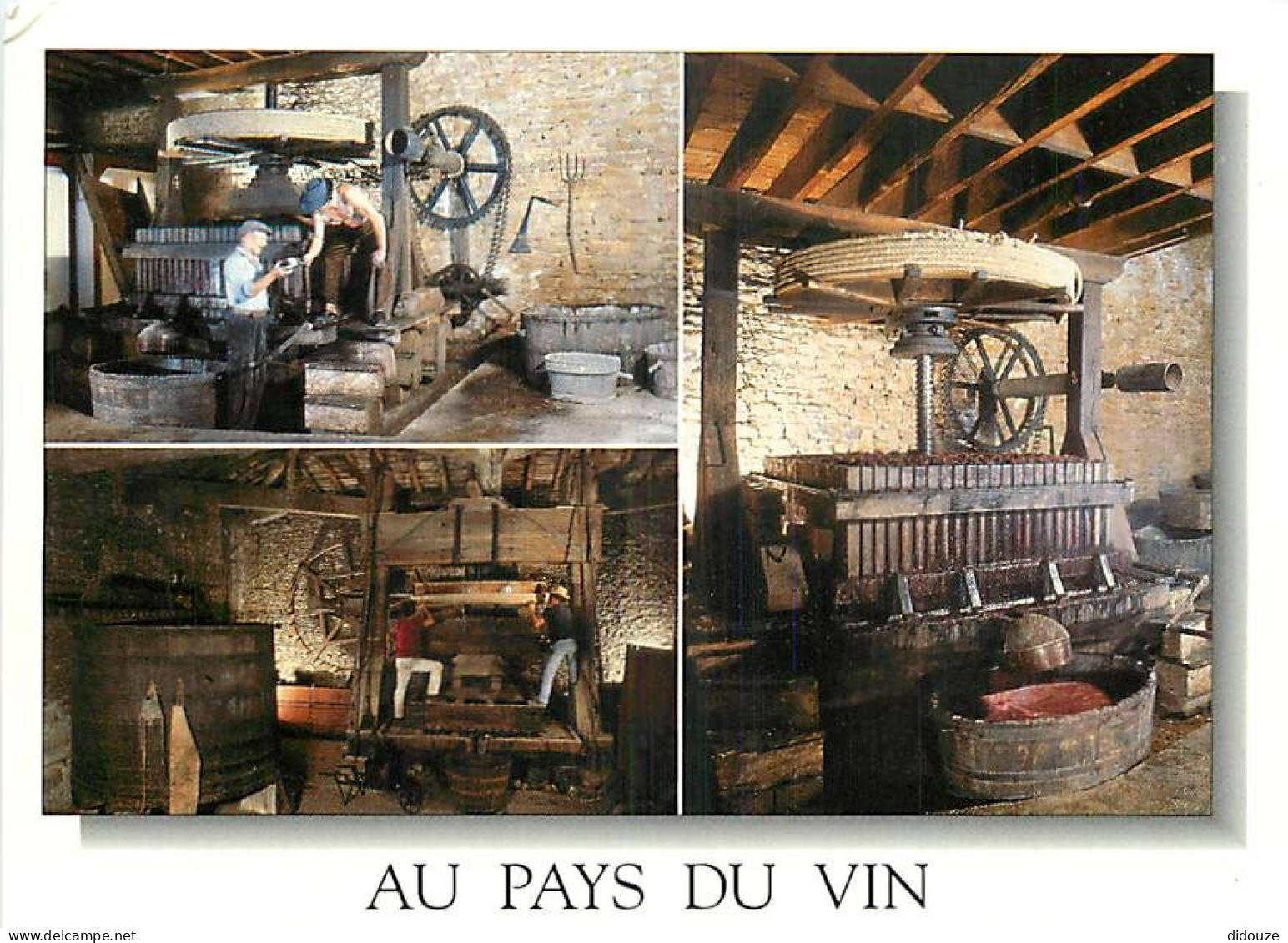 Vignes - Au Pays Du Vin - Vieux Pressoirs - Multivues - CPM - Carte Neuve - Voir Scans Recto-Verso - Vignes