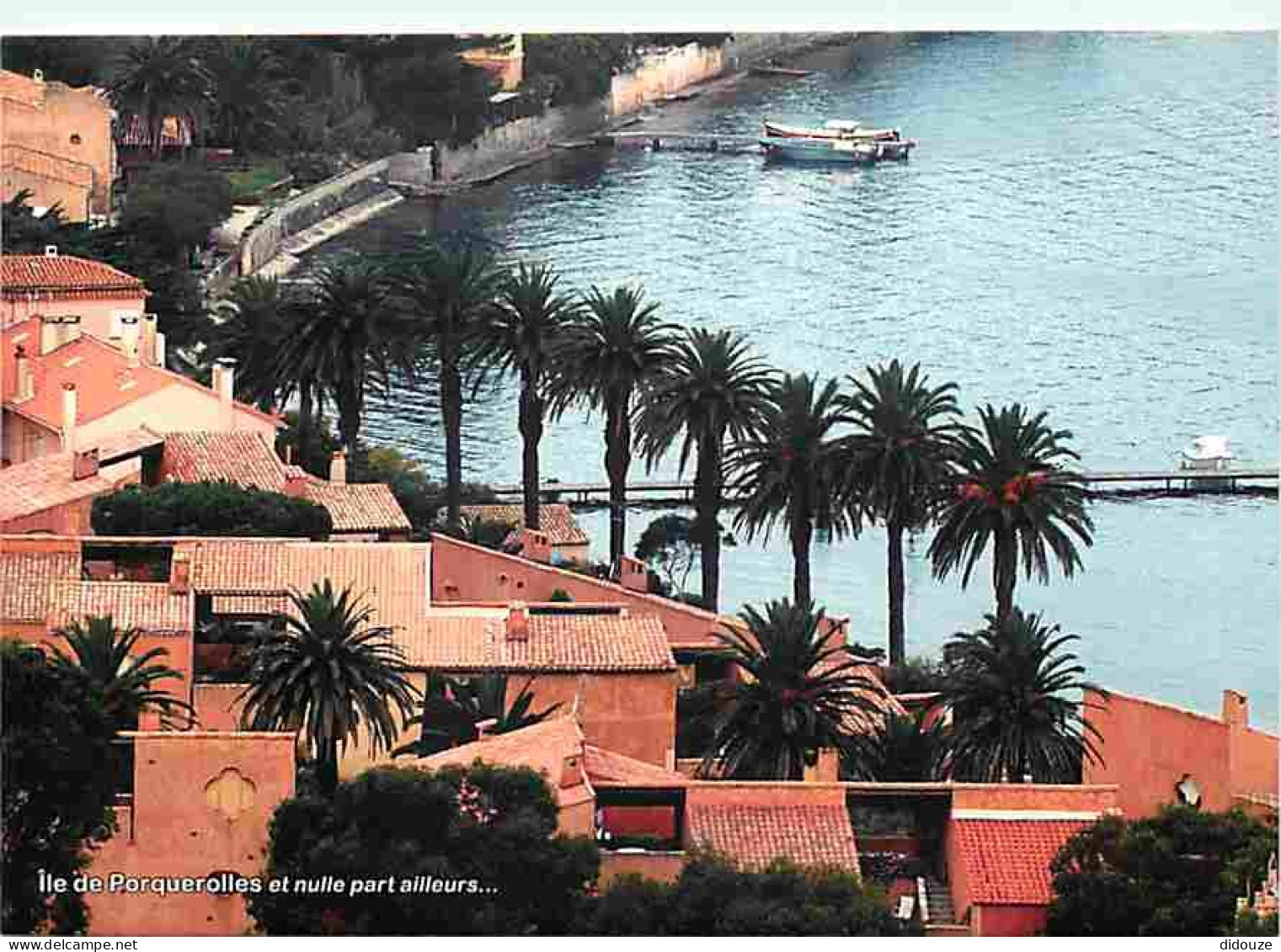 83 - Ile De Porquerolles - Carte Neuve - CPM - Voir Scans Recto-Verso - Porquerolles