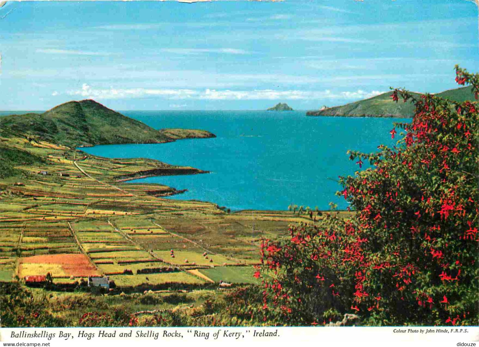 Irlande - Kerry - Ring Of Kerry - Ballinskelligs Bay - Hogs Head And Skellig Rocks - CPM - Voir Scans Recto-Verso - Kerry