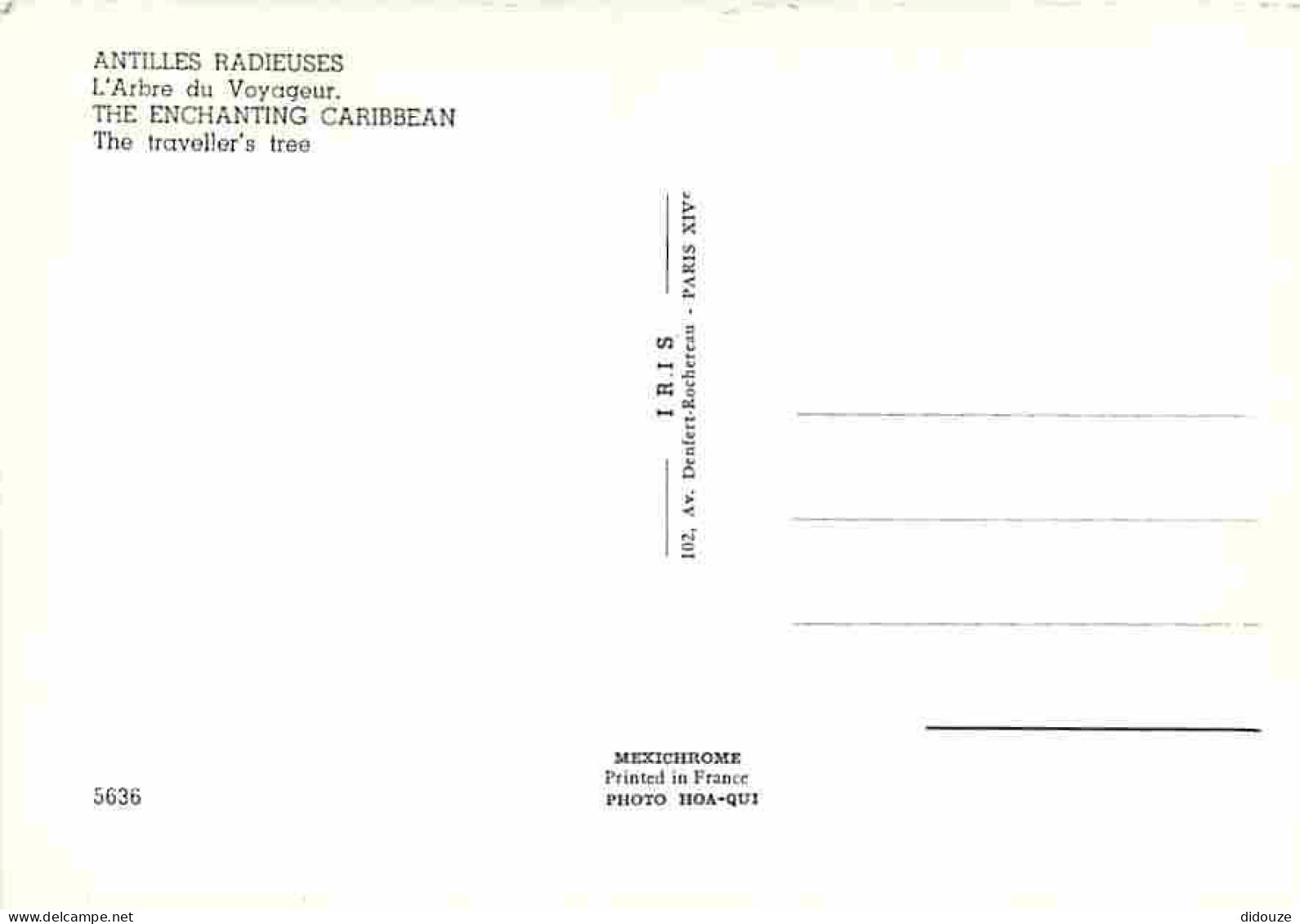 Antilles - L'arbre Du Voyageur - Carte Neuve - CPM - Voir Scans Recto-Verso - Otros & Sin Clasificación