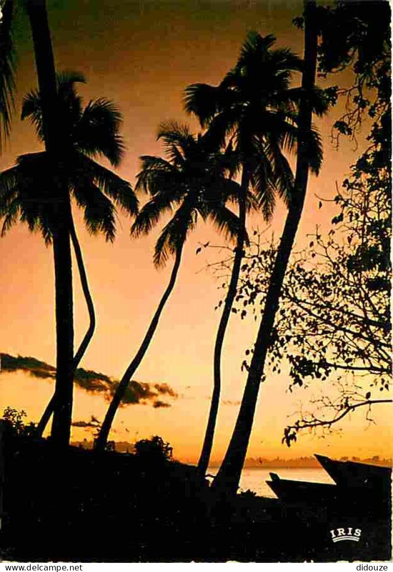 Antilles - Coucher De Soleil - CPM - Voir Scans Recto-Verso - Autres & Non Classés