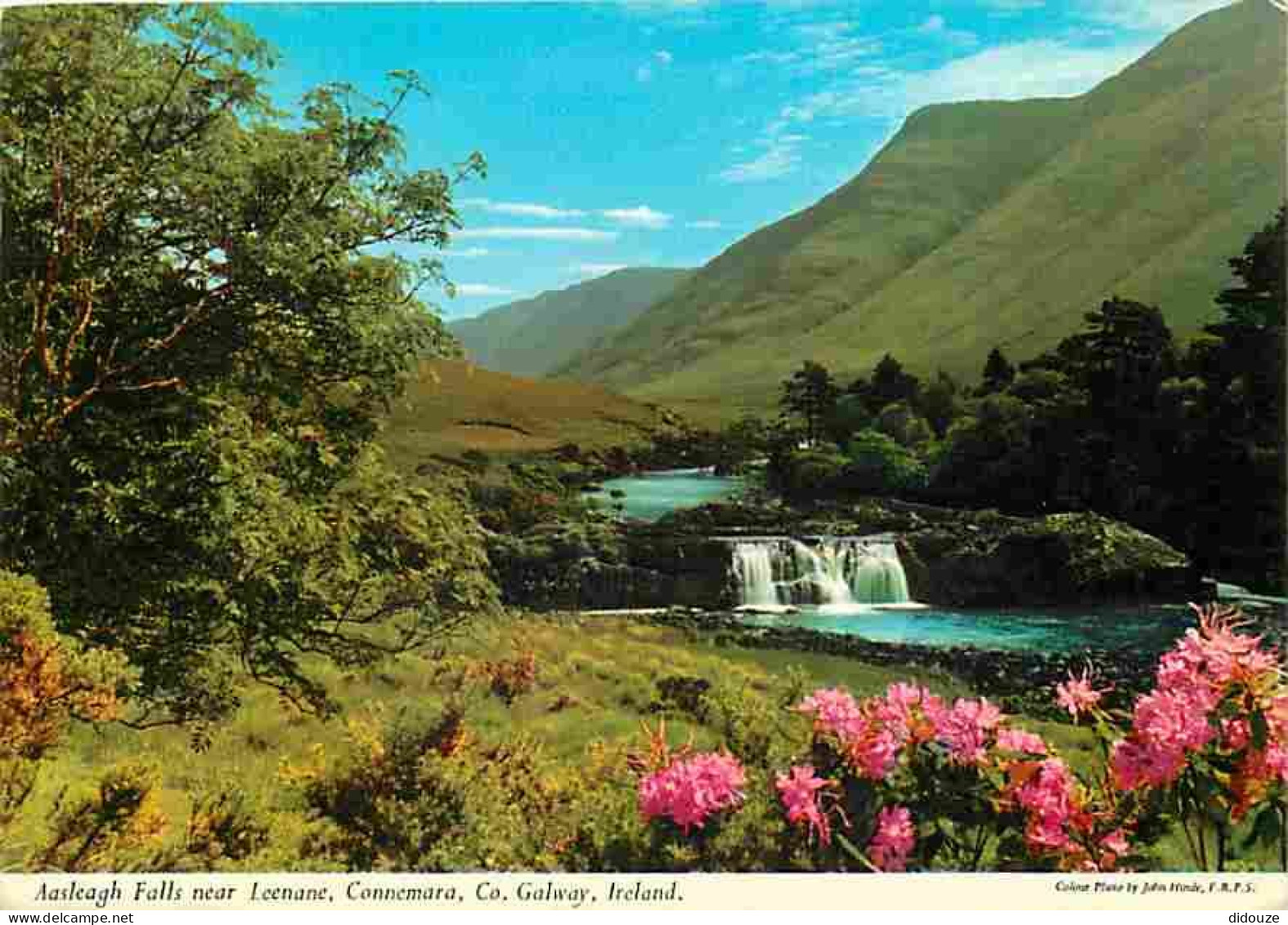 Irlande - Galway - Connemara - Aasleagh Falls Near Leenane - Cascades - Fleurs - Voir Timbre - CPM - Voir Scans Recto-Ve - Galway