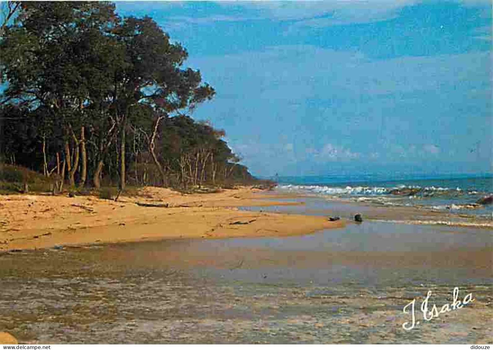 Congo - Brazzavile - Point Noire - Plage Bois Des Singes - CPM - Voir Scans Recto-Verso - Pointe-Noire